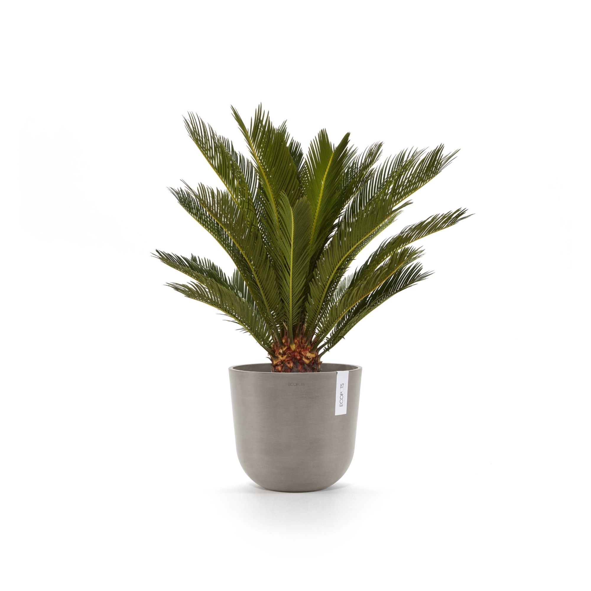 ECOPOTS 5413724316831 Planter-Window-Box - View #4