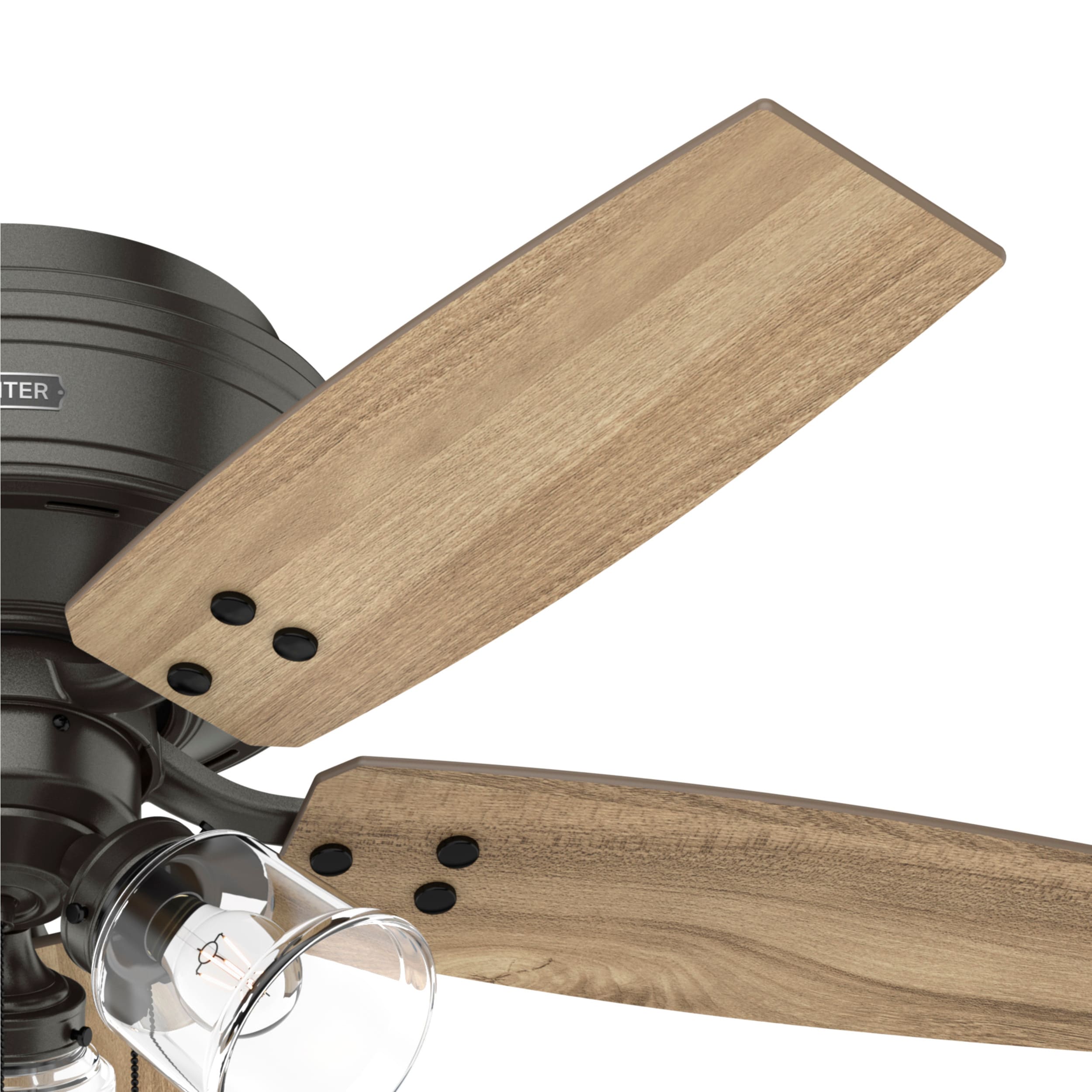 Hunter 51869 Ceiling-Fans - View #8