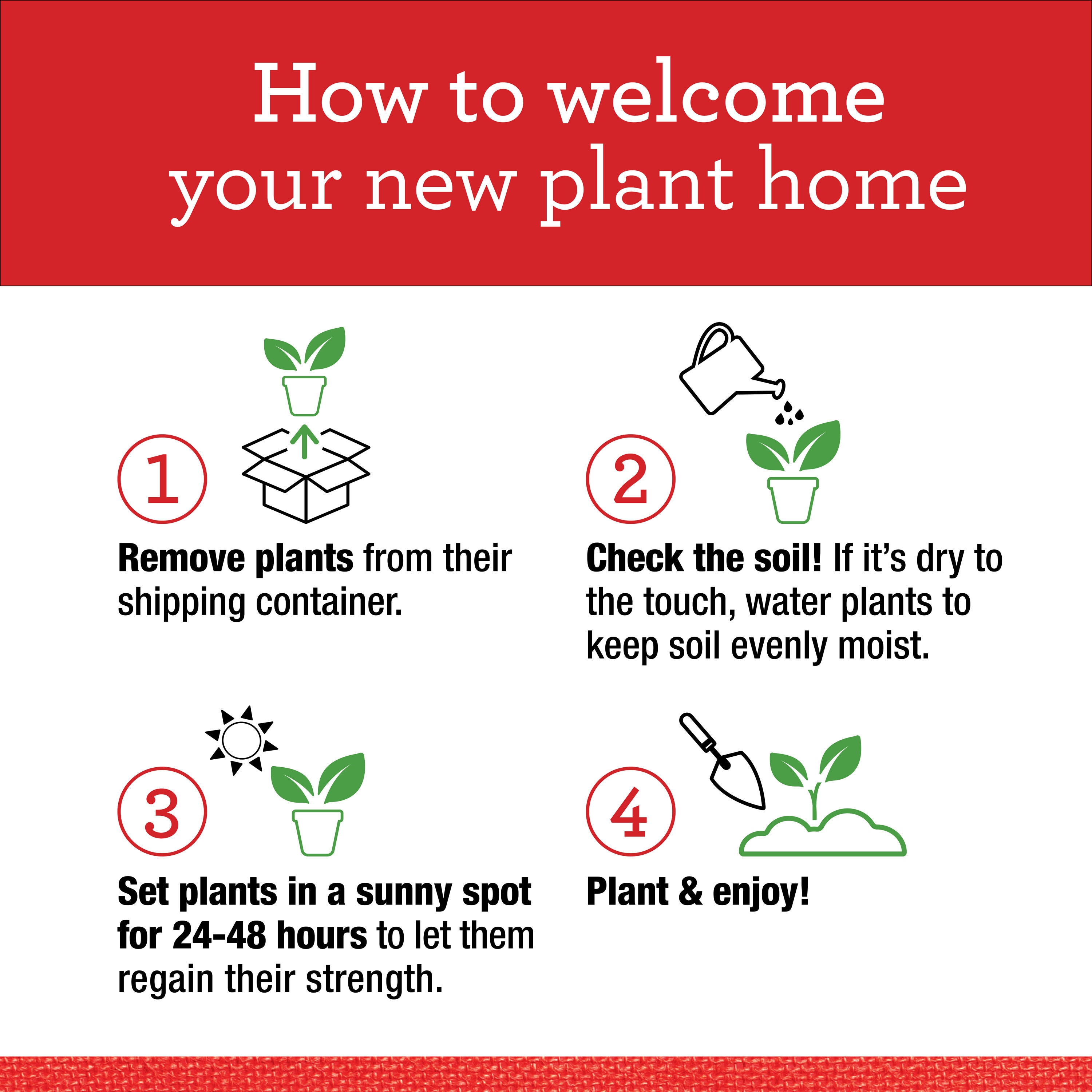 Bonnie Plants 202072 Vegetable-Plants - View #9