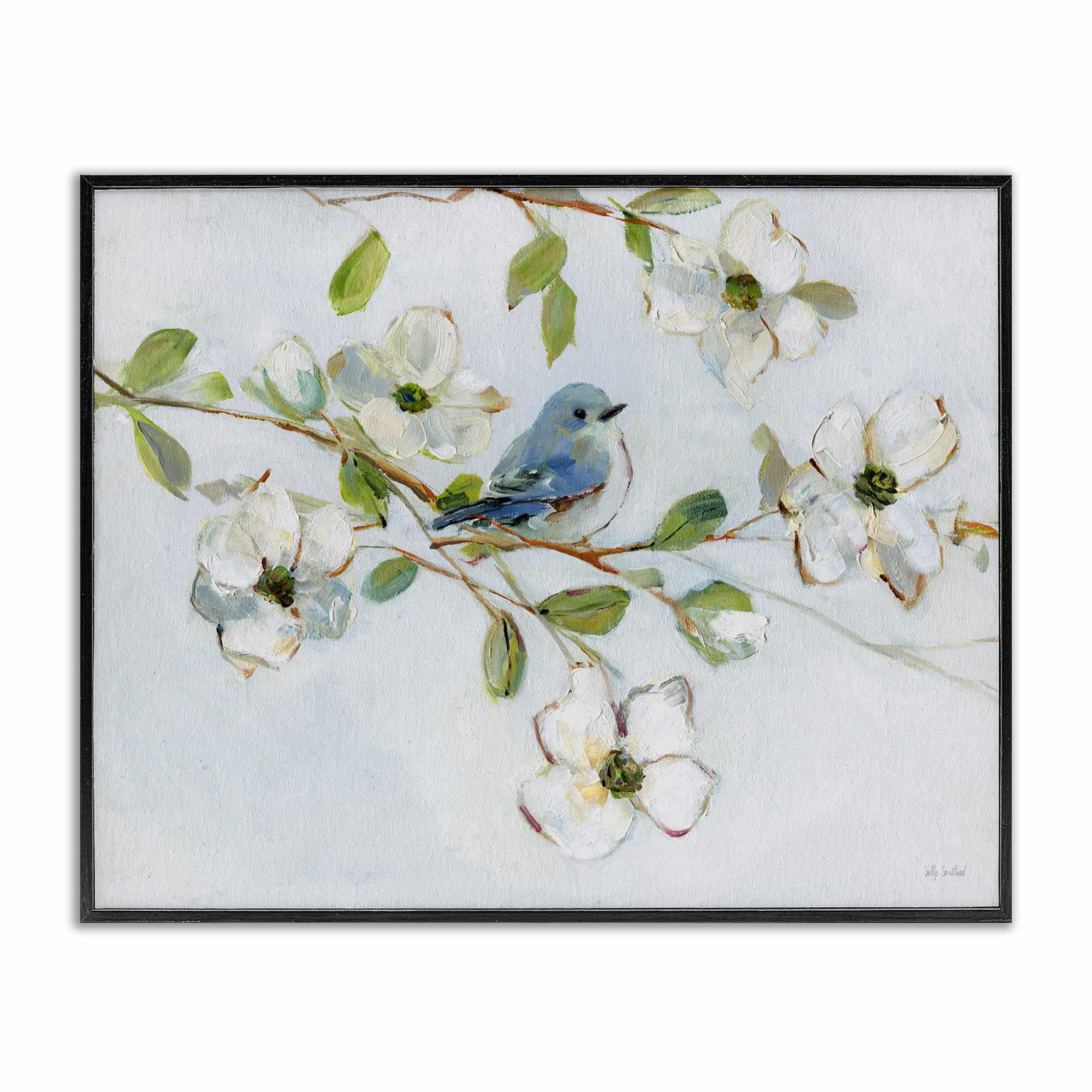 Stupell Industries BS-232-FR-11X14 Bird Perched on Dogwood Black Framed Giclee Art By Sally Swatland 14 x 11