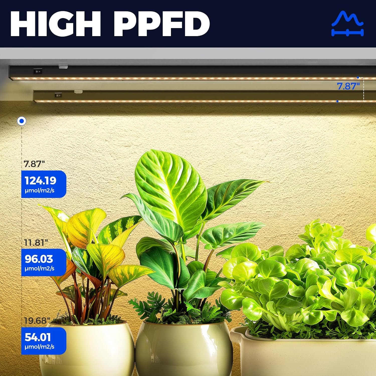 Barrina T5 Grow Lights for Indoor Plants 3FT 128W Plant Grow