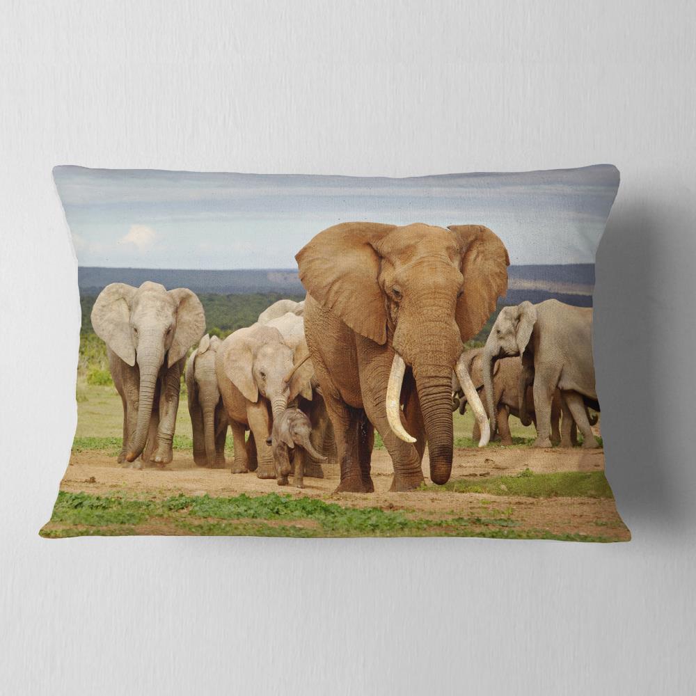 Designart CU12977-12-20 12-in x 20-in Brown Indoor Decorative Pillow