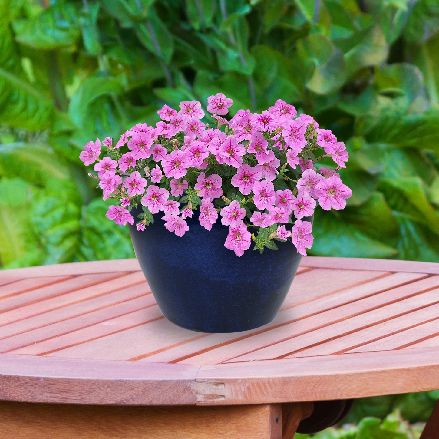 Sunnydaze Decor AP-827 Planter-Window-Box - View #13