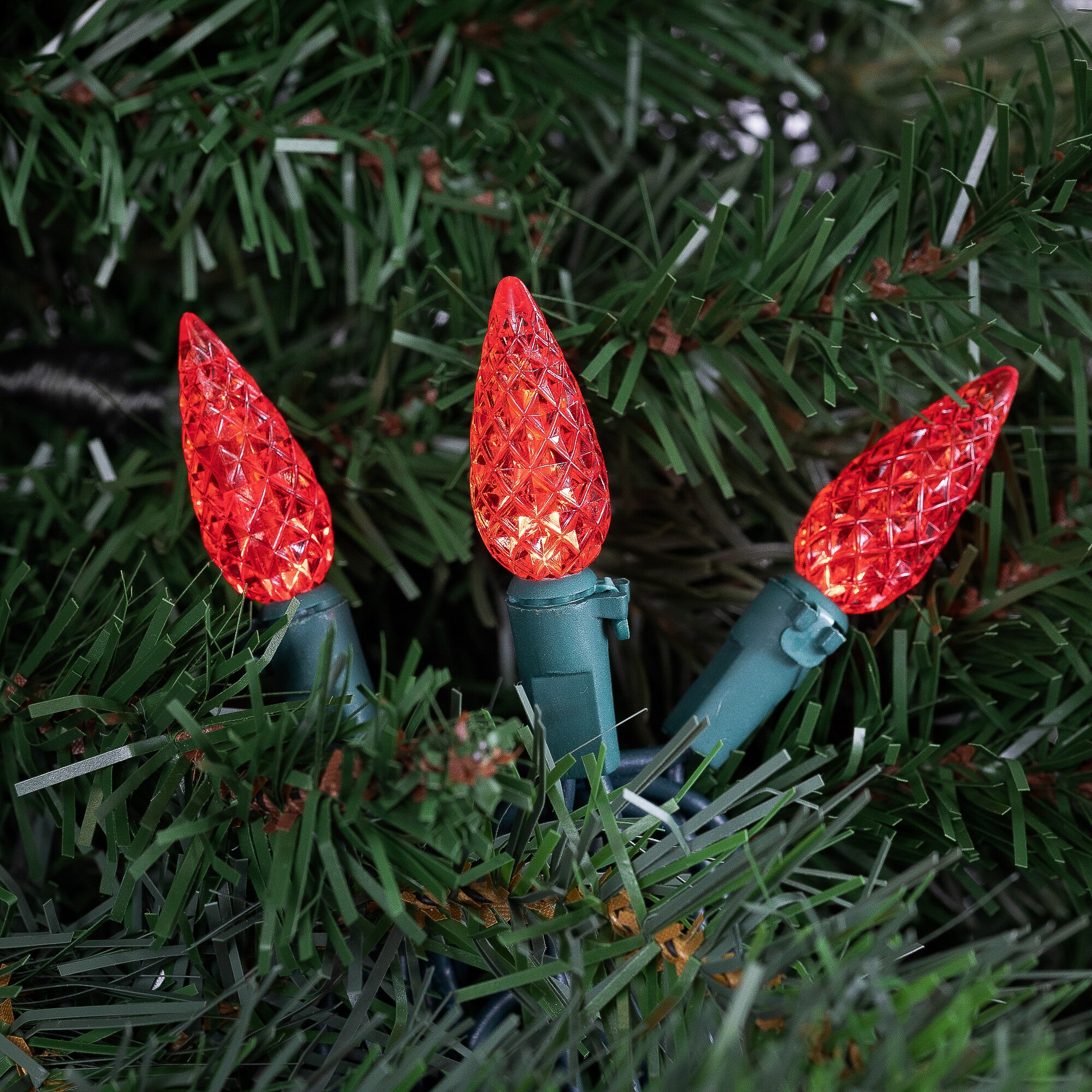 Northlight 32614106 Christmas-String-Lights - View #3