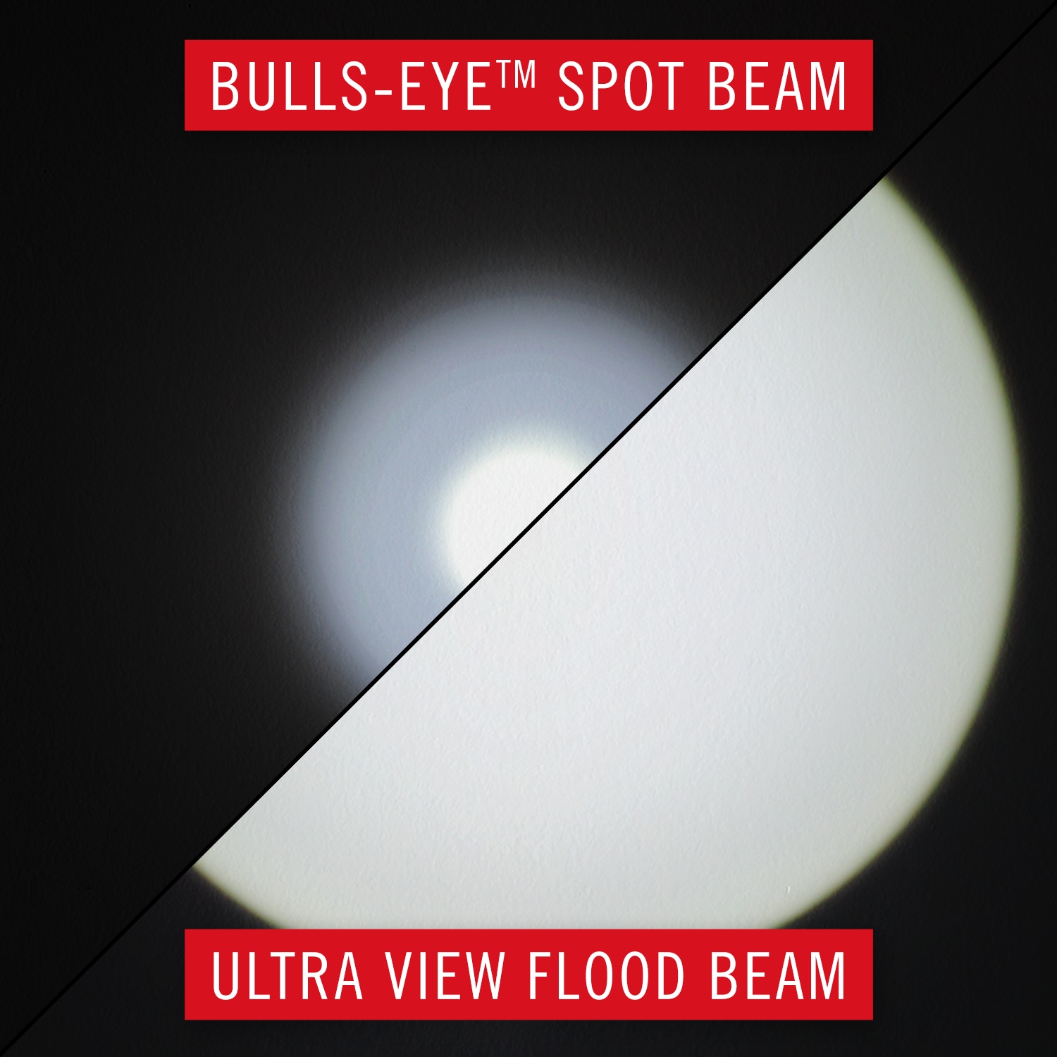 Coast 30555 flashlights - View #3