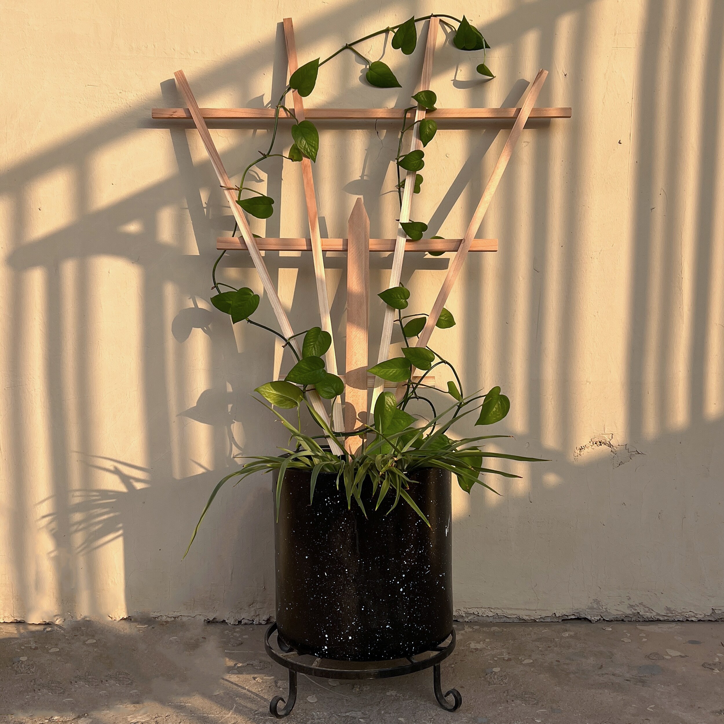 Style Selections TARJ310A Garden-Trellis - View #7