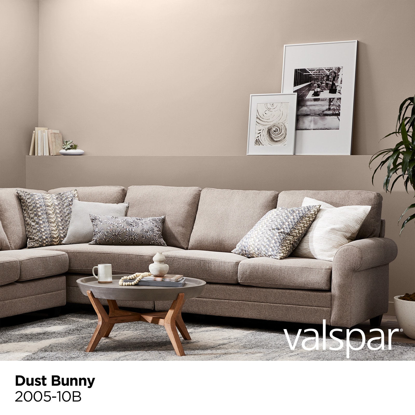 Valspar 2005-10B-2916584 Int-Ext-Paint - View #2