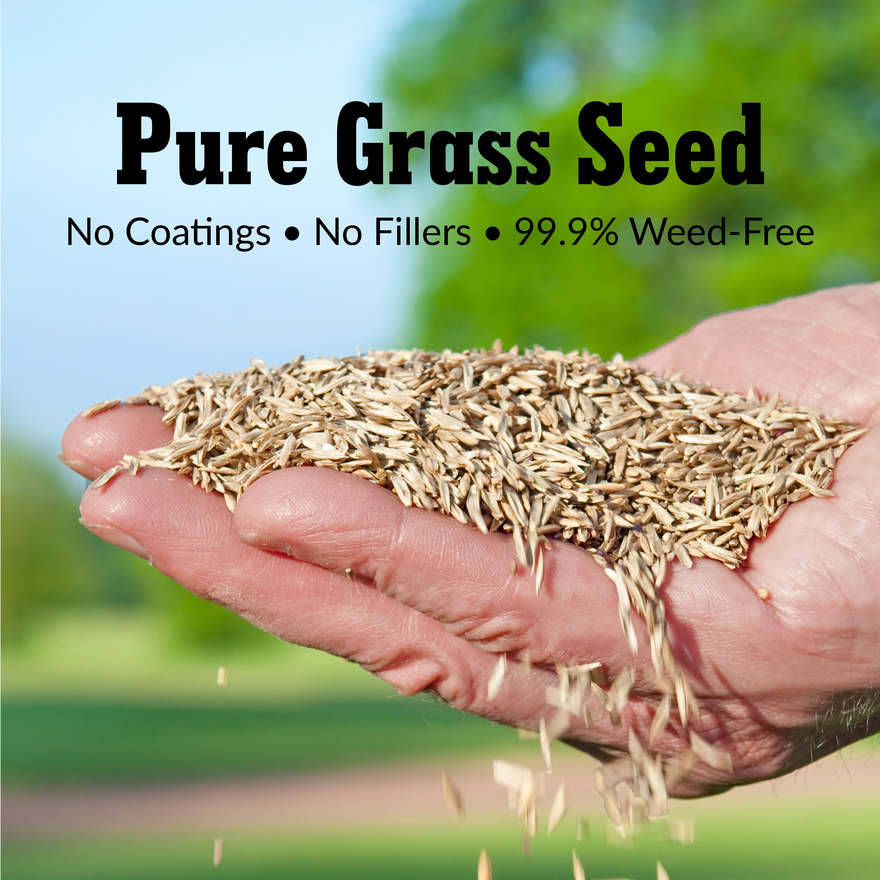 Greenview 7-lb Natural Blend Grass Seed in the Grass Seed department at ...