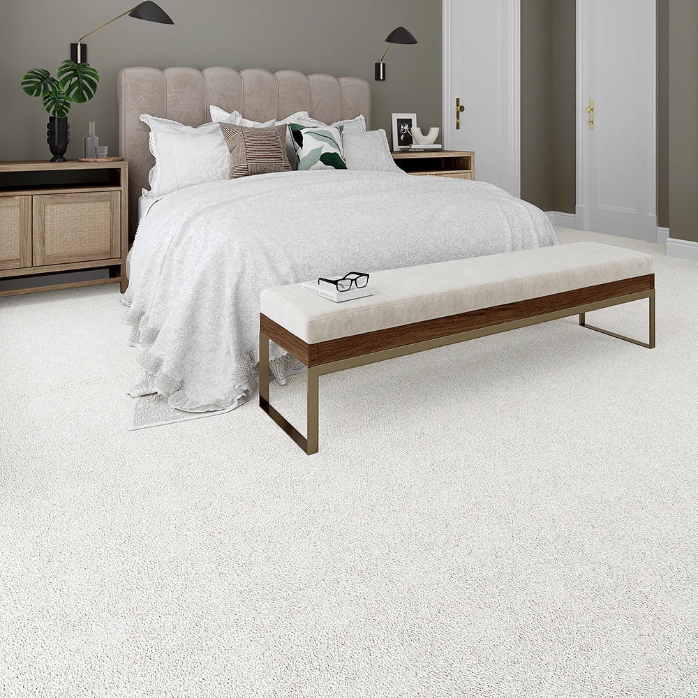 STAINMASTER PetProtect STP25-L001-0808 Carpet-Samples - View #3