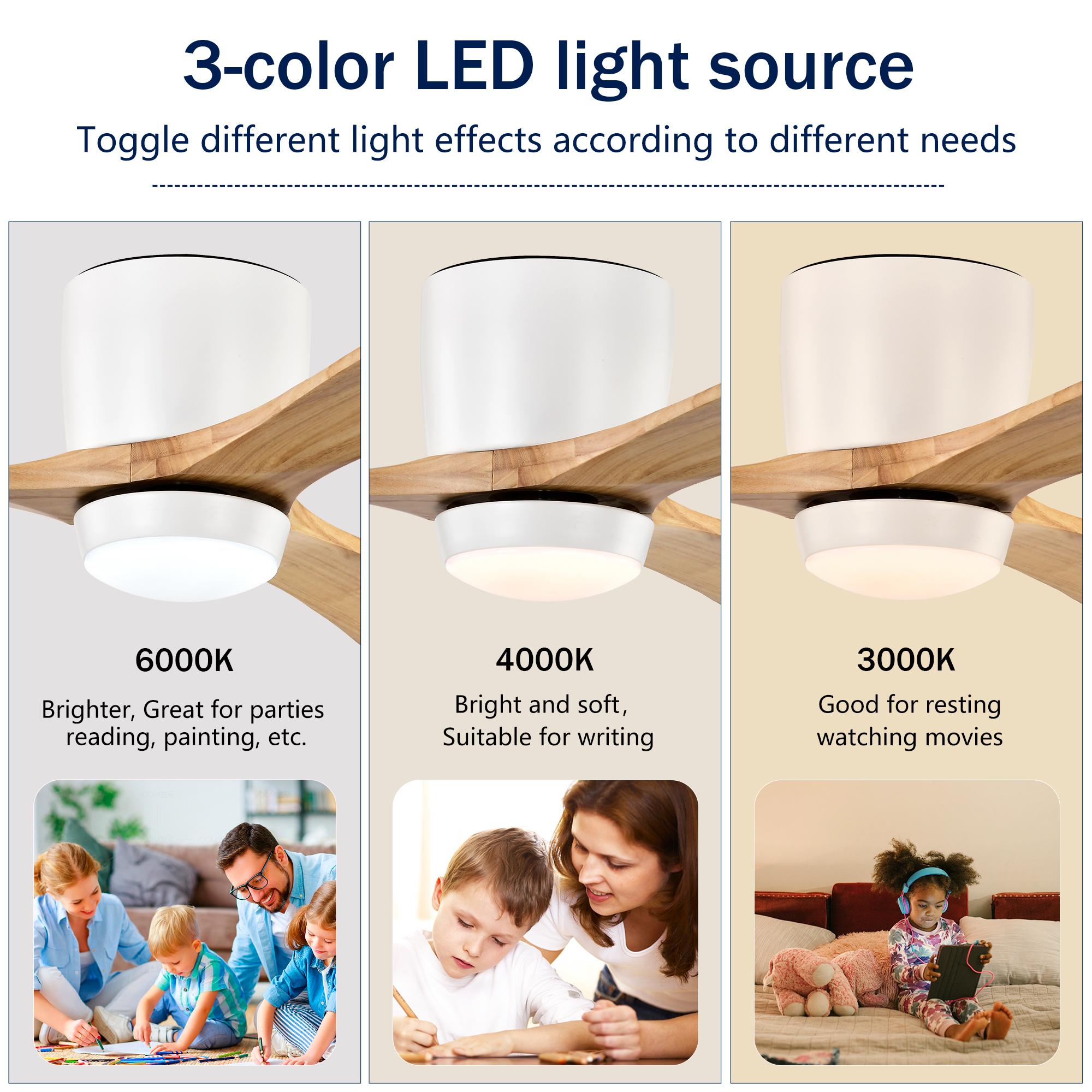 Bayfeve BFHM-78236-CF Ceiling-Fans - View #9