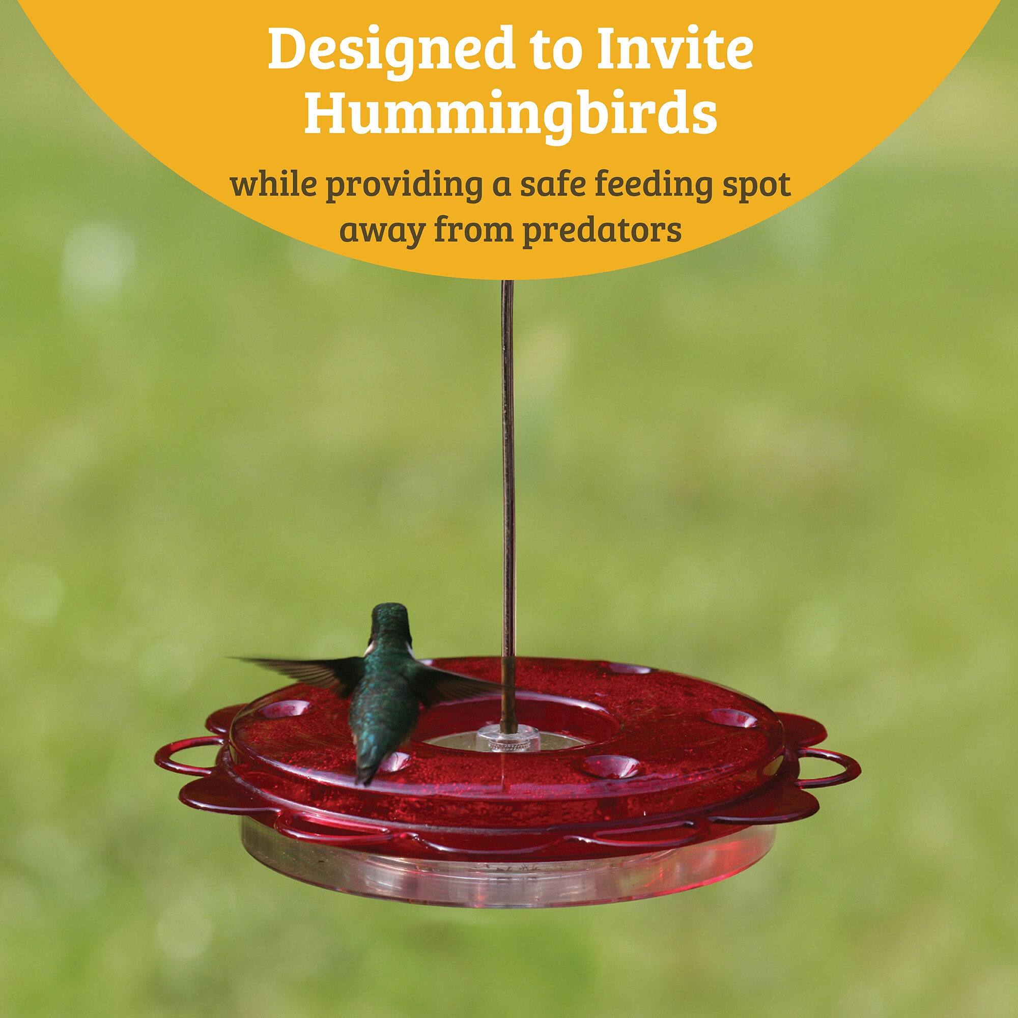 BIRDS CHOICE NP1002 Bird-Feeders - View #4
