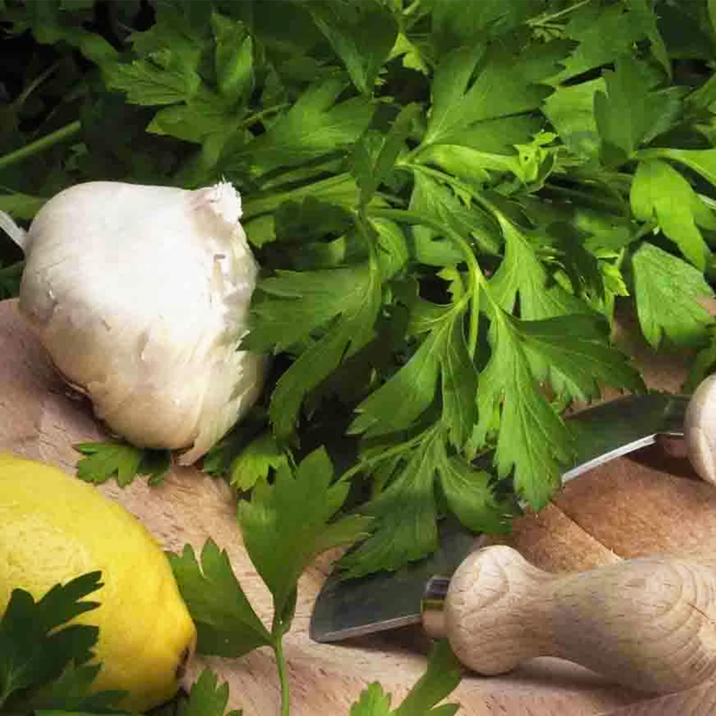 Ferry-Morse LC25.4109 Vegetable-Herb-Seeds - View #3