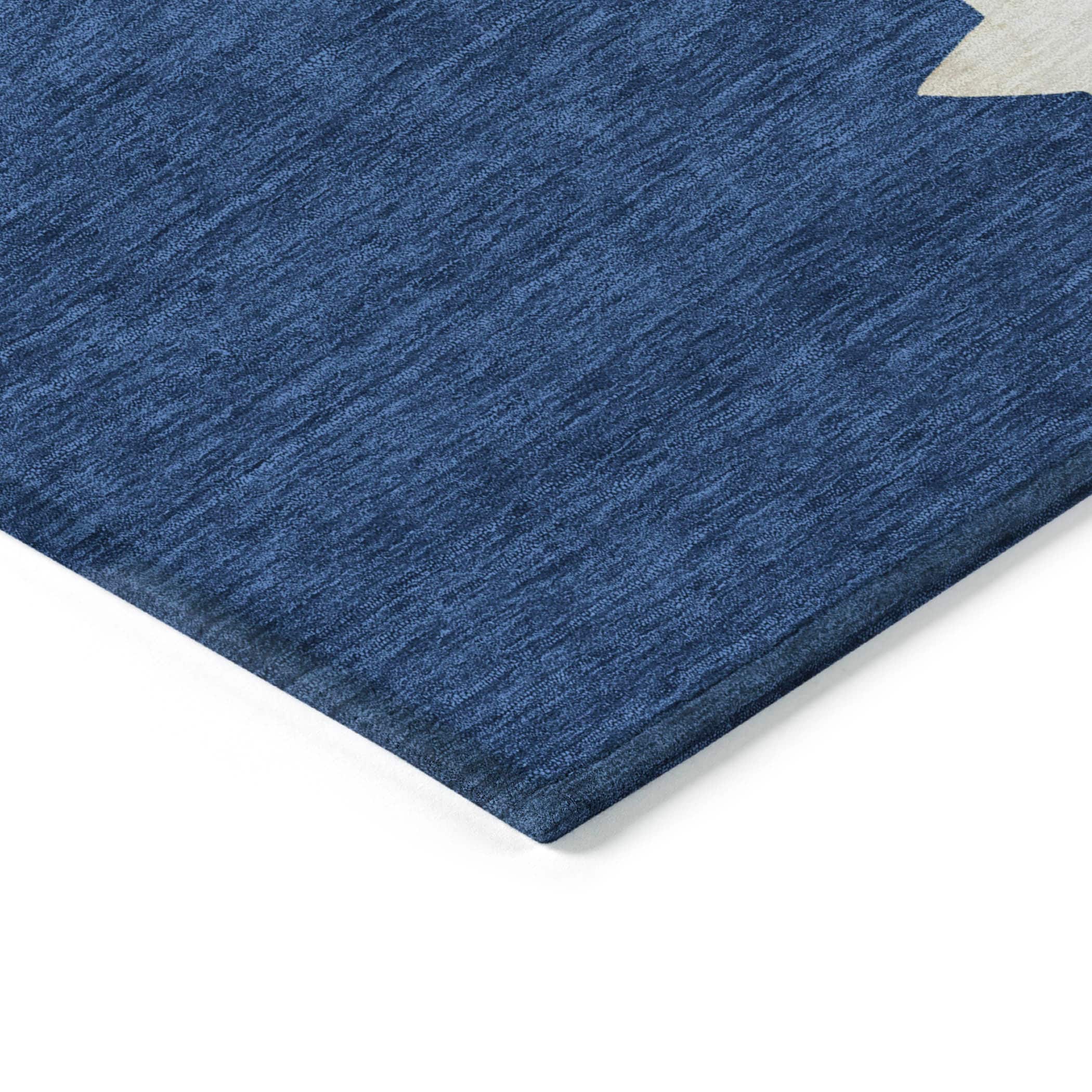Addison Rugs ACN1825NA20X30 rugs - View #4
