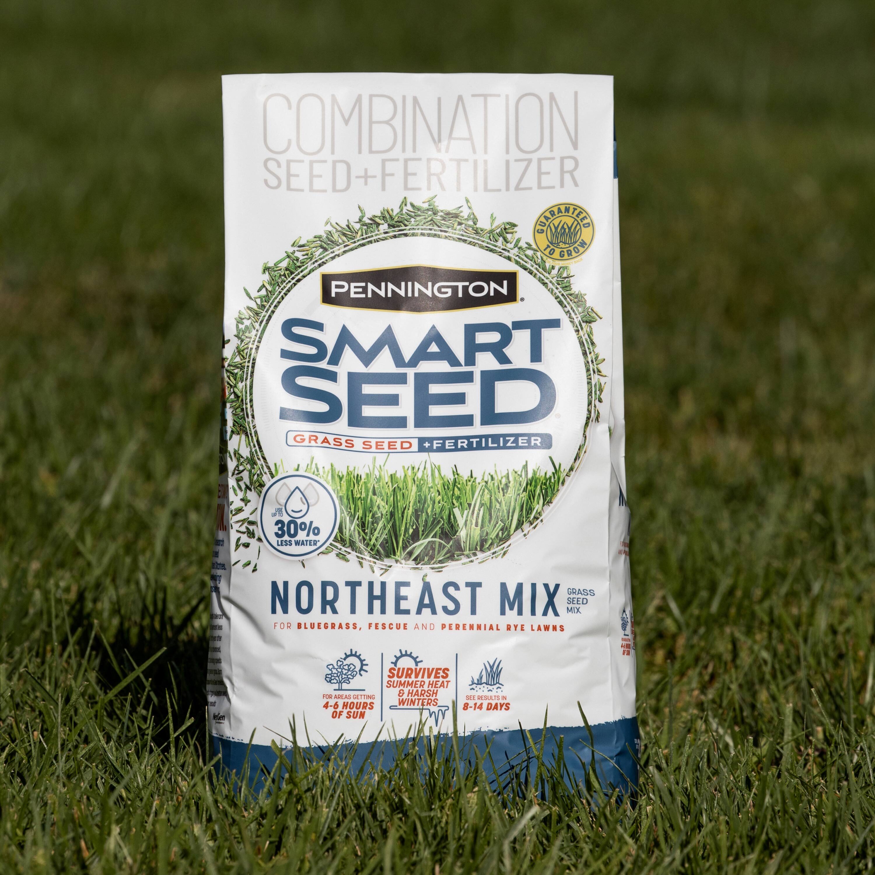 Pennington Smart Seed Northeast 20-lb Mixture/Blend Grass Seed In The ...