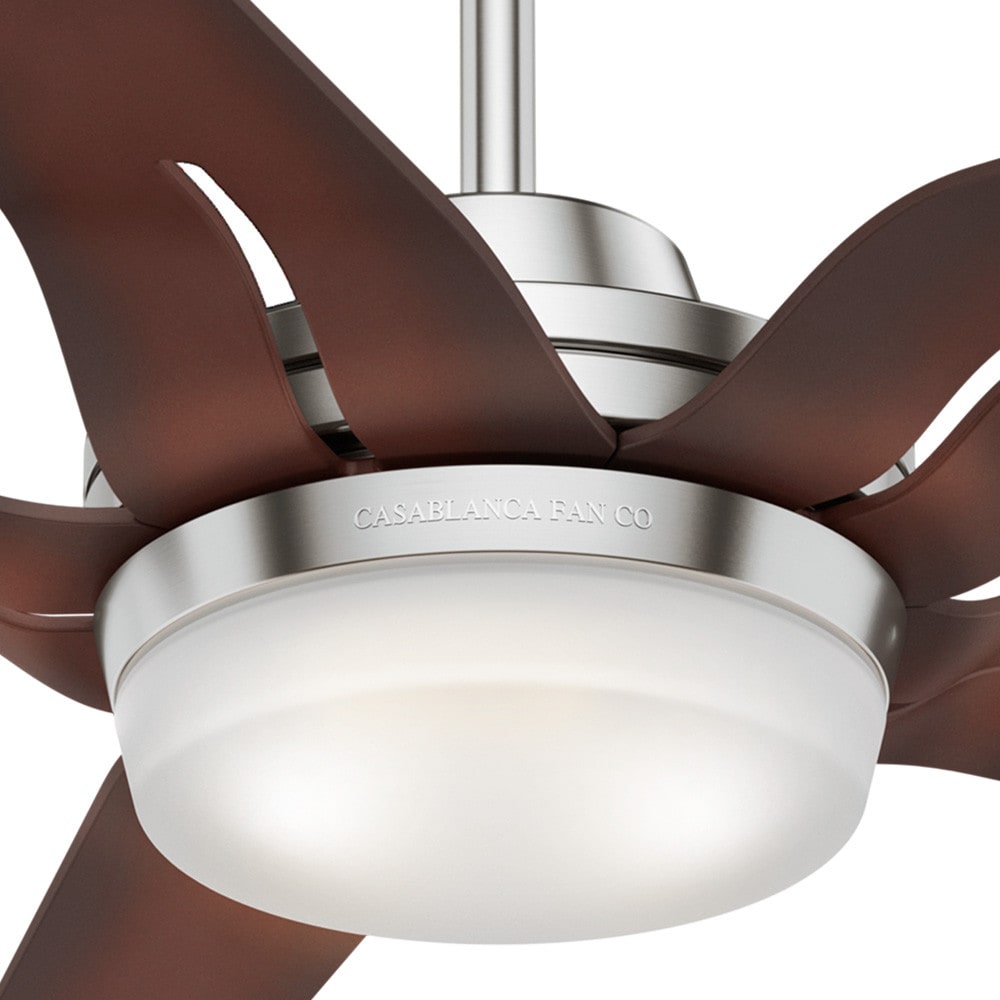 Correne 56" Brushed Nickel Ceiling Fan with Coffee Beech Blades and LED Light