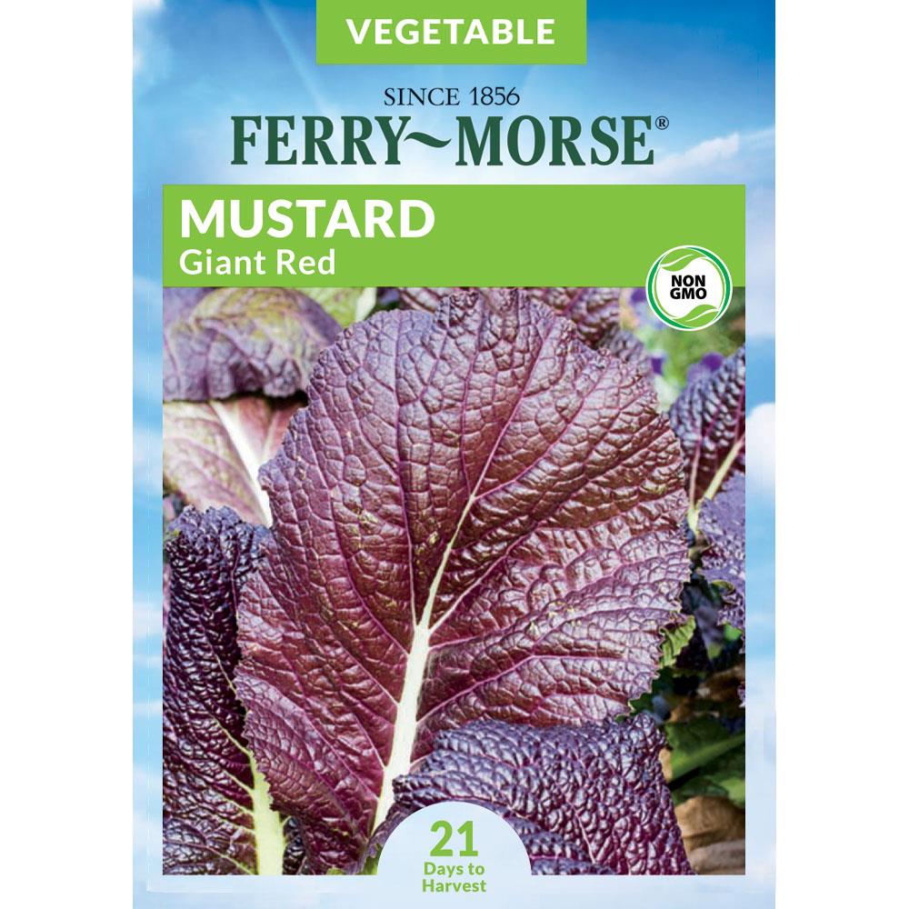 Organic Mustard Red Streaks Vegetable Seeds Packet 1 GRAM Mizuna Waterfall USA