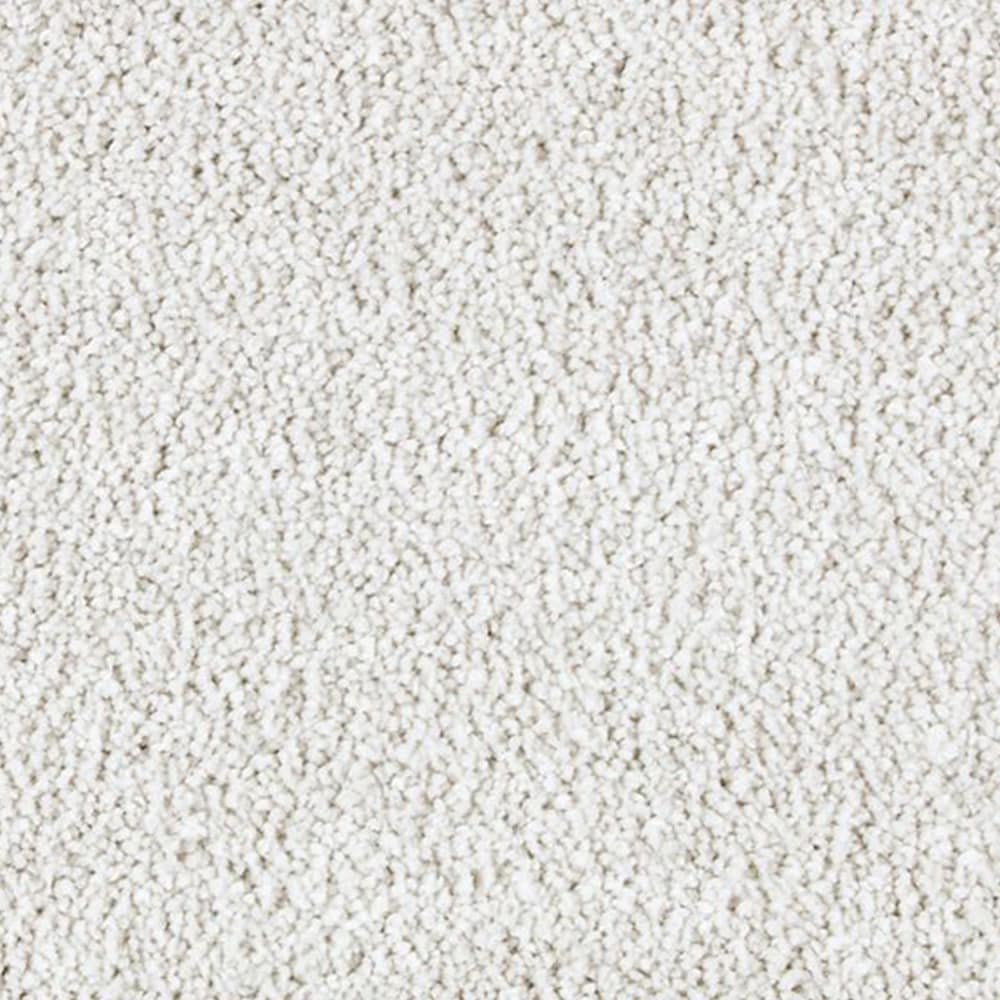 STAINMASTER PetProtect STP25-L001-0808 (Sample) Alluring splendor II Ocean clouds Gray 58-oz sq yard Triexta Textured Indoor Carpet