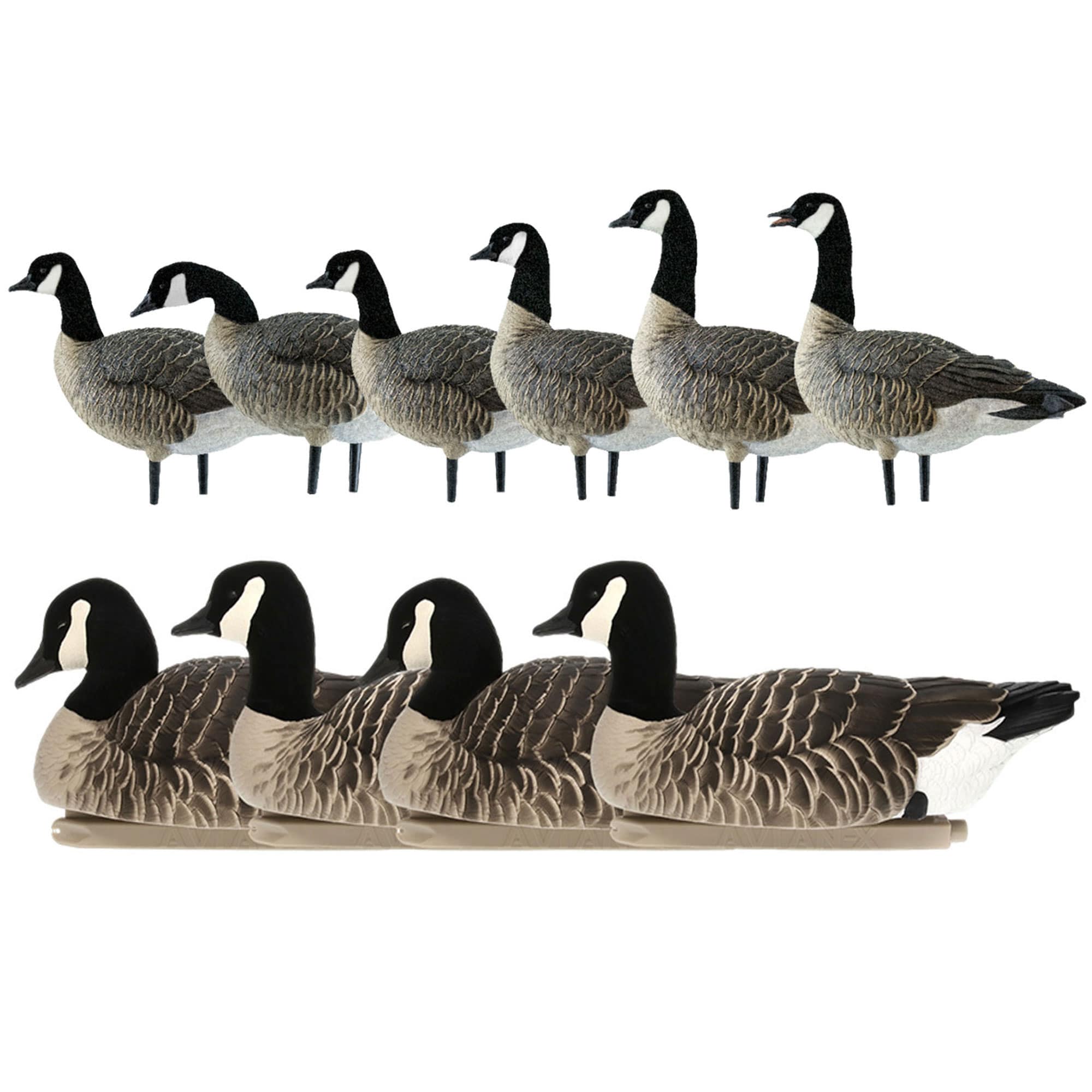  Avian X 408548 28 x 18 x 16 Inche(s) Decoy 10 -Pack