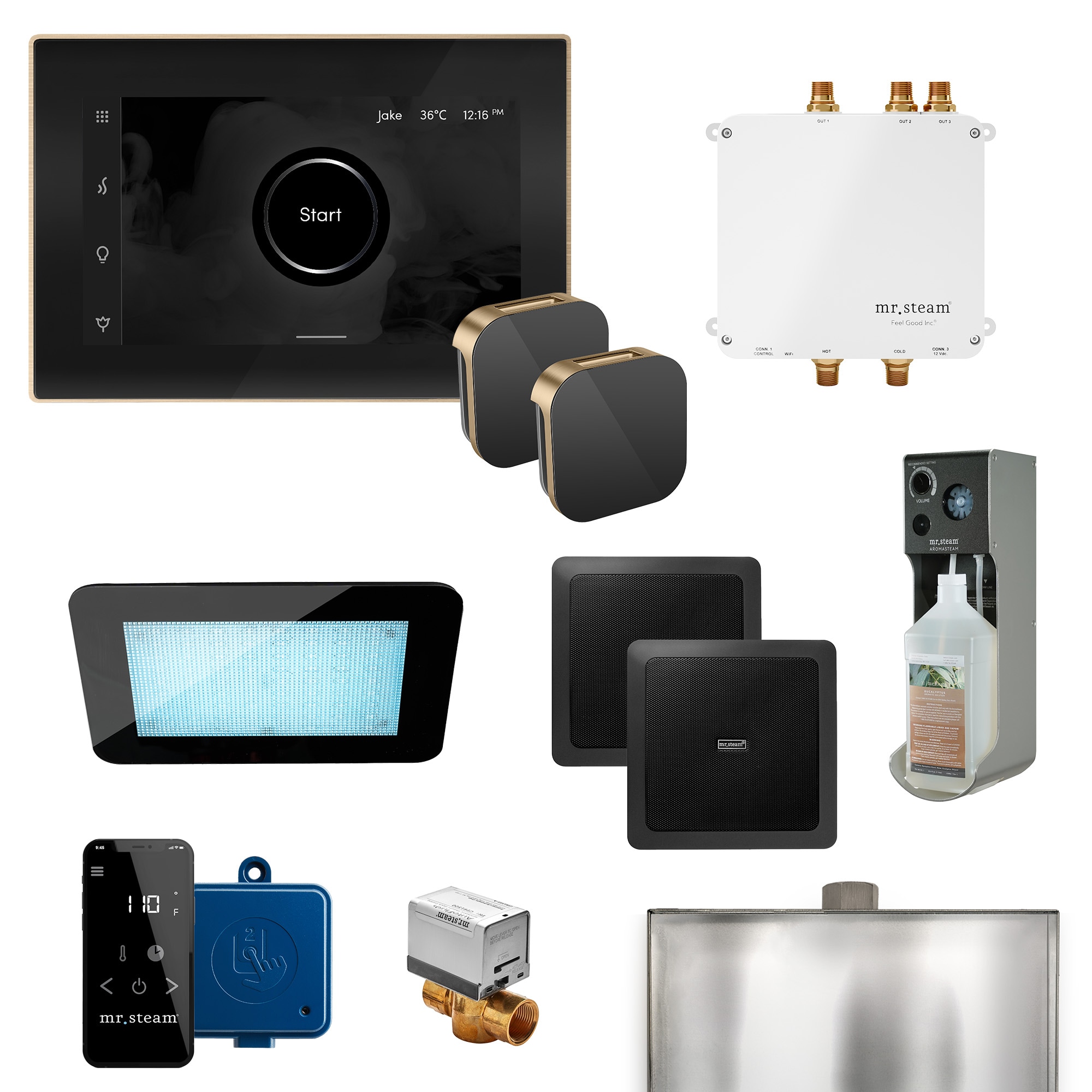 Mr. Steam BLS-BKXBB Bliss Max 600-Watts Brushed Bronze Steam generator control kit