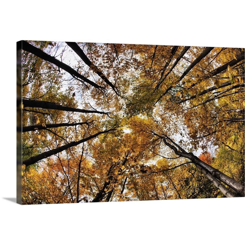 GreatBigCanvas 2075932-24-30X20 20-in H x 30-in W Abstract Print on Canvas