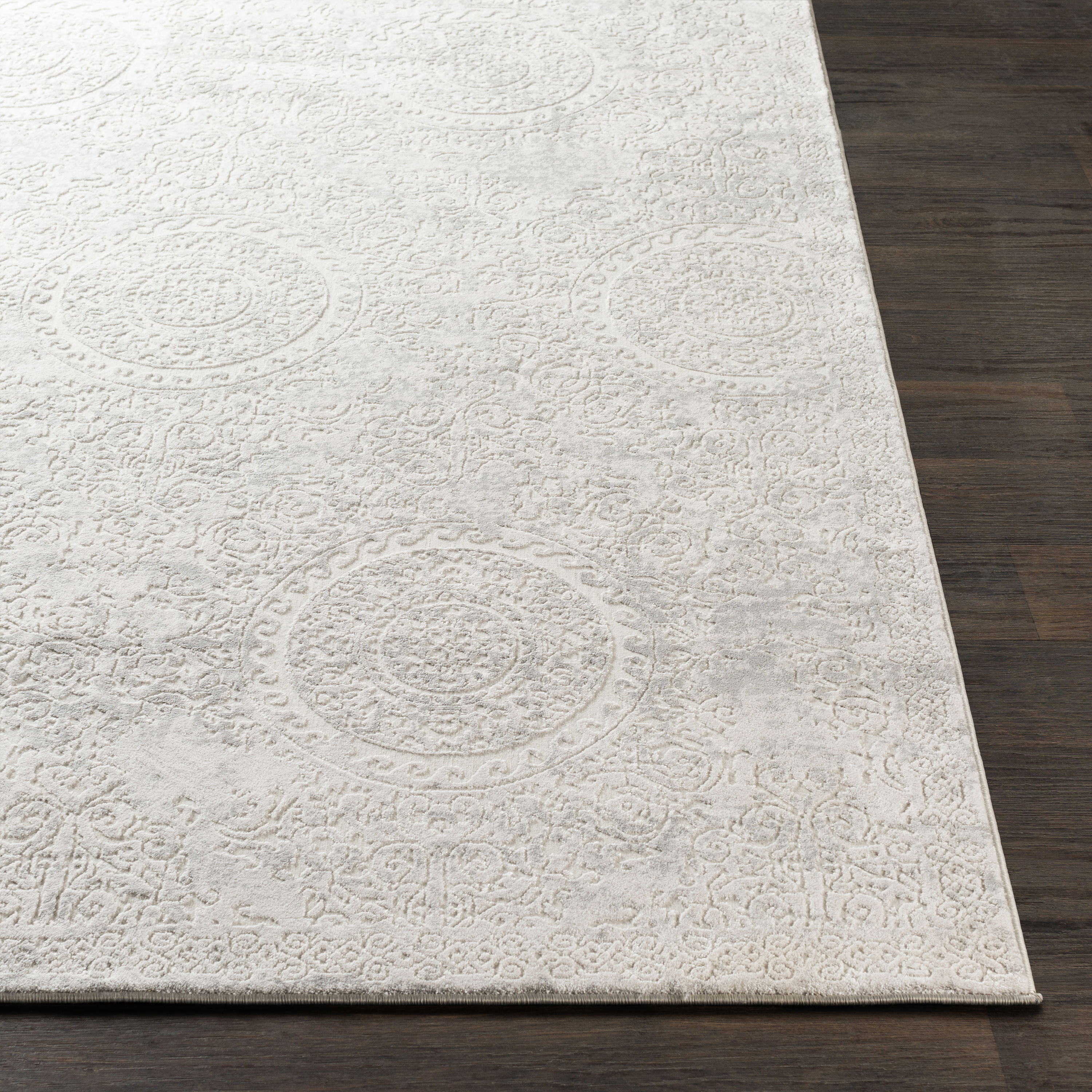 Surya AIS2307-710RD rugs - View #2
