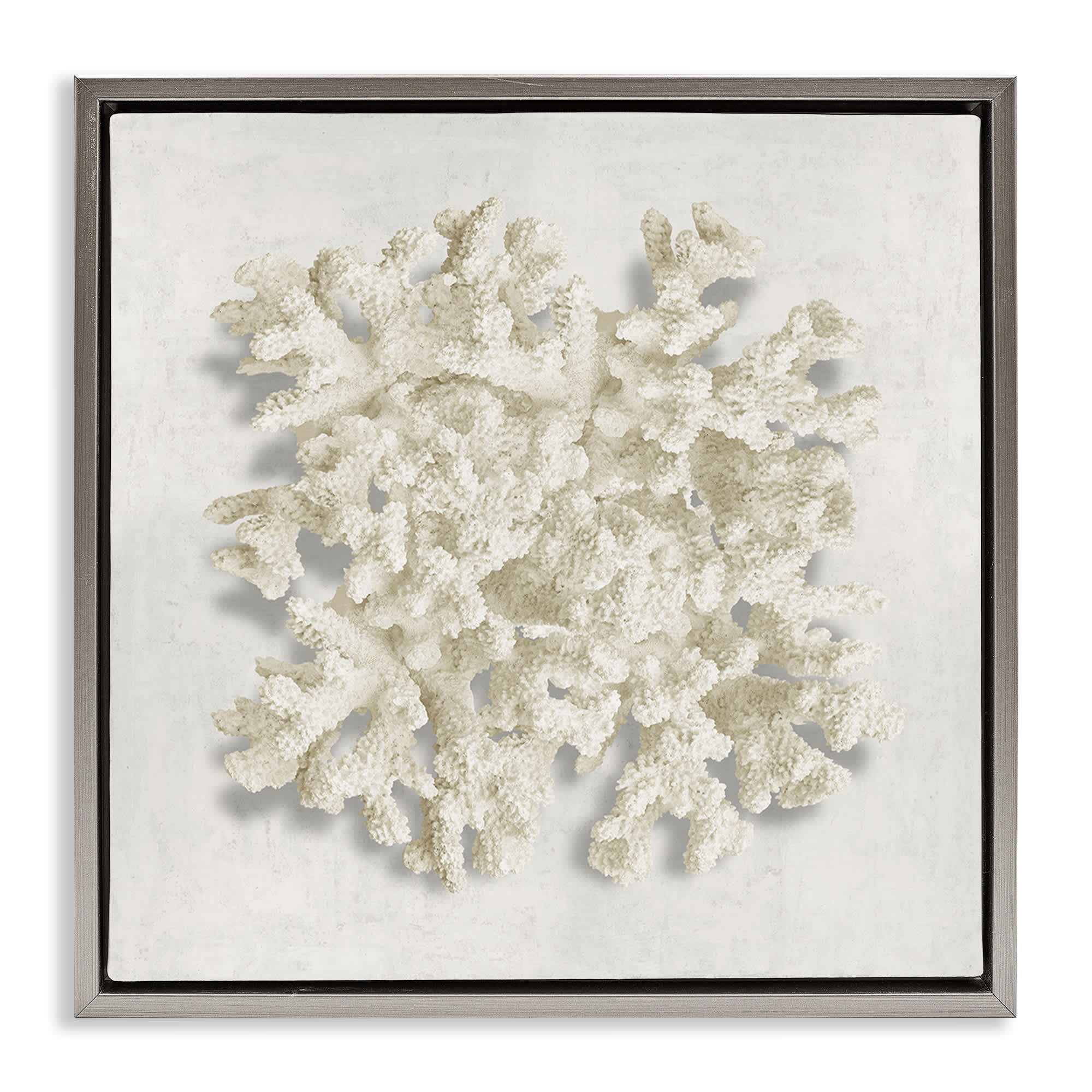 Stupell Industries BS-543-FFL-17X17 Aquatic Neutral Coral Gray Framed Floater Canvas Wall Art By Caroline Kelly 18 x 18