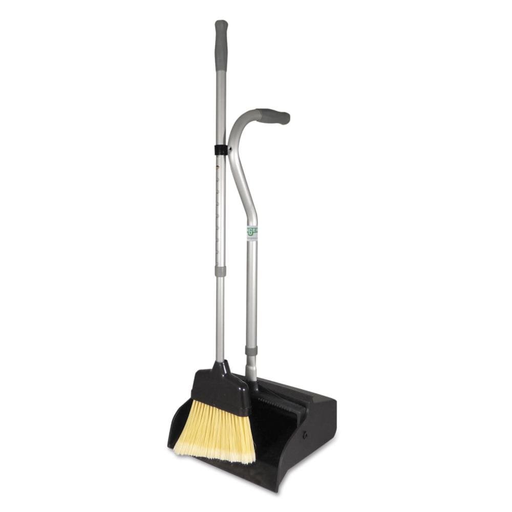 FGY Broom and Dustpan Set with Removable Handle for Indoor and Pet (Green)  - Walmart.com