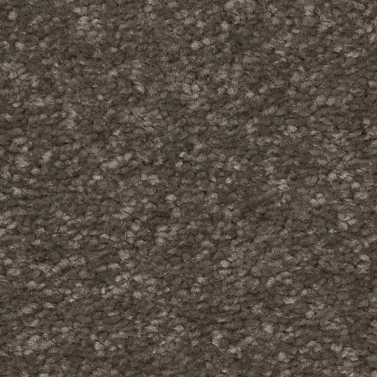 STAINMASTER 7L863 - 708 - SAMP (Sample) Best Intentions II Urban Rustic Brown 53.6-oz sq yard Polyester Textured Indoor Carpet