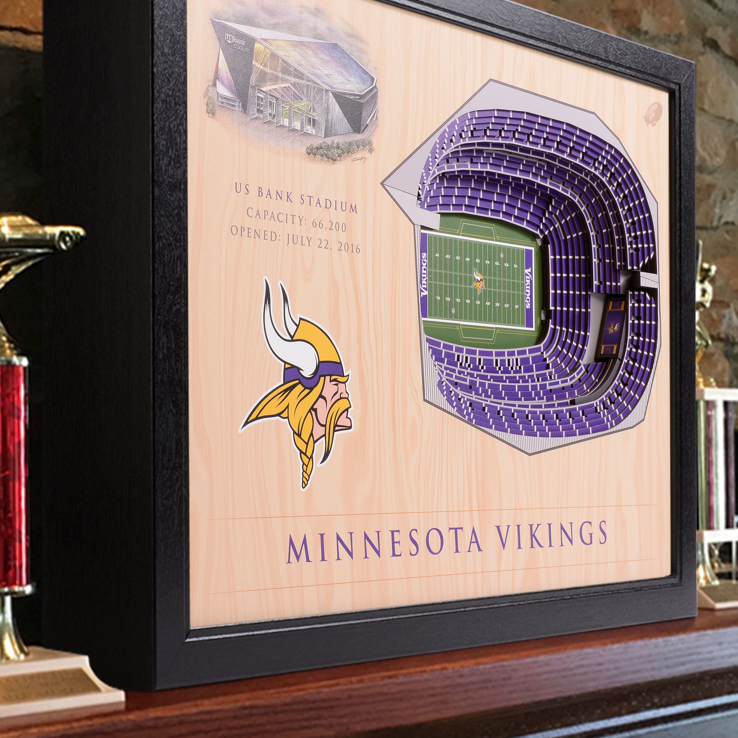 StadiumViews Minnesota Vikings Youthefan Team Colors Floater Frame