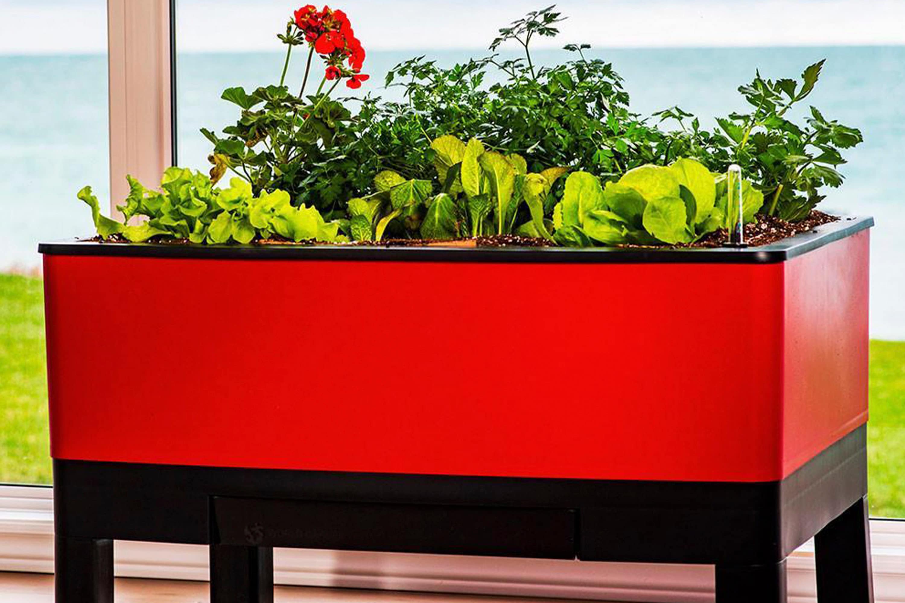 Vita Rectangle 34 5 In W X 23 In H Red Pvc Vinyl Traditional Indoor Outdoor Raised Planter Box