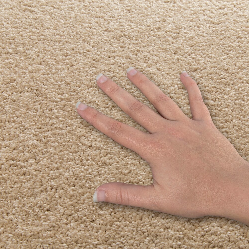 Style Selections SS016-L003-0808 Carpet-Samples - View #4