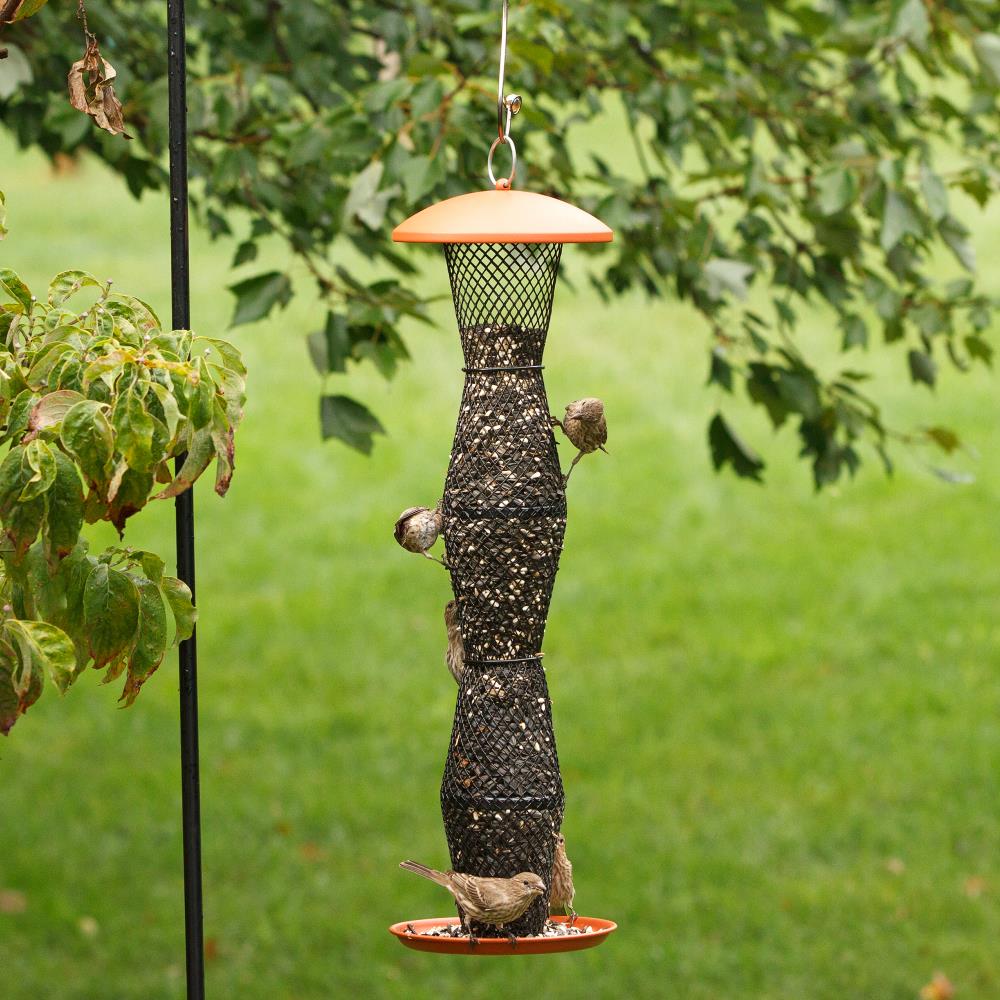 no no bird feeder