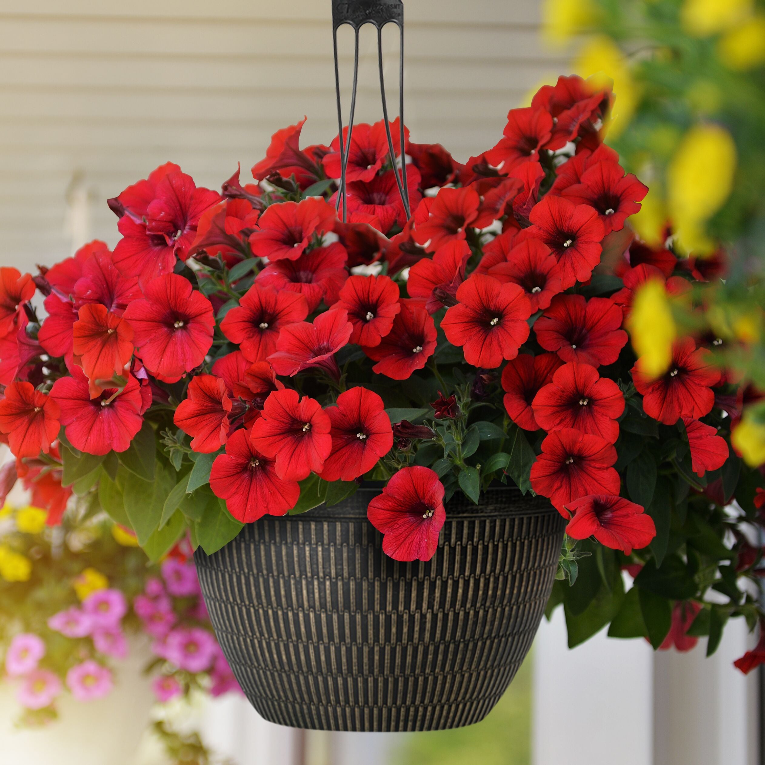 Style Selections HG2138M Planter-Window-Box - View #2