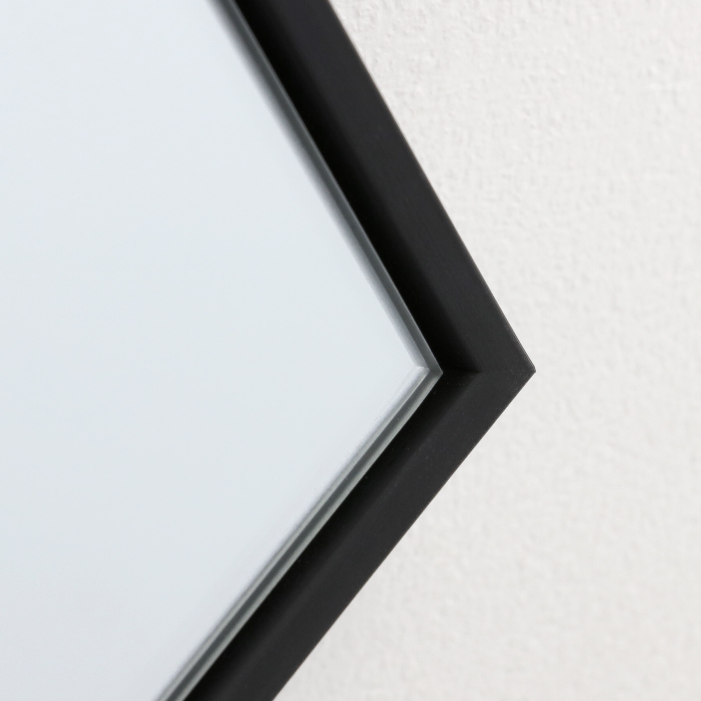 Origin 21 24-in W X 65-in H Black Polished Full Length Floor Mirror In ...