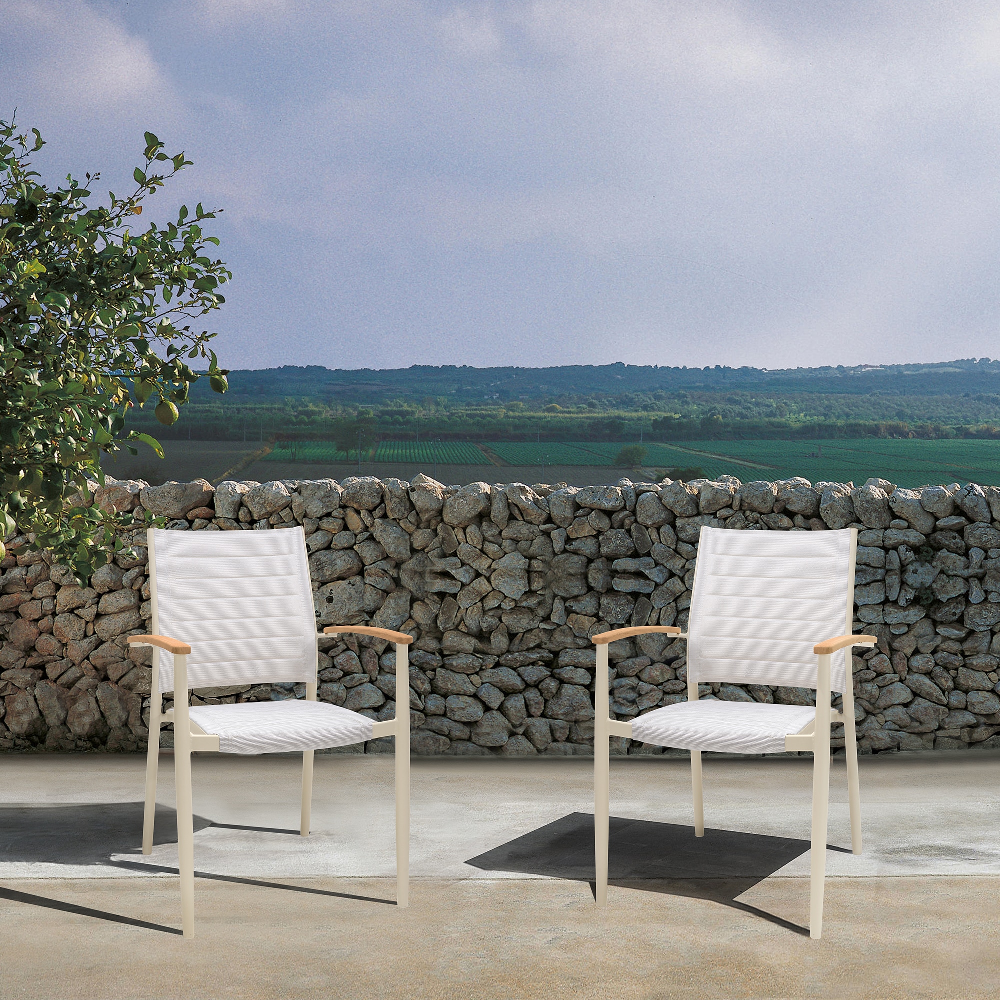 Armen Living LCPLCHNAT Dining-Chairs - View #5