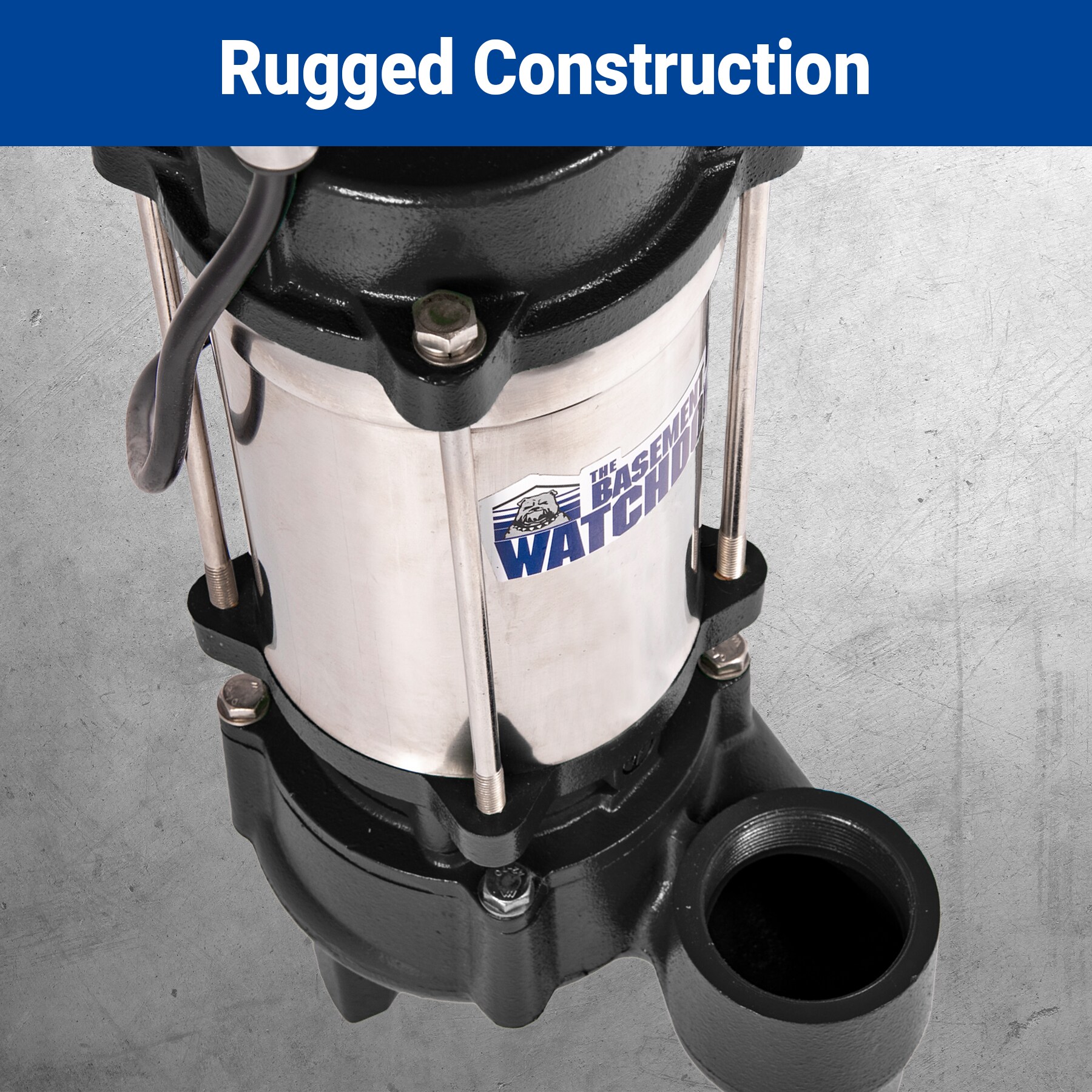 Basement Watchdog BWSS100 pumps - View #4