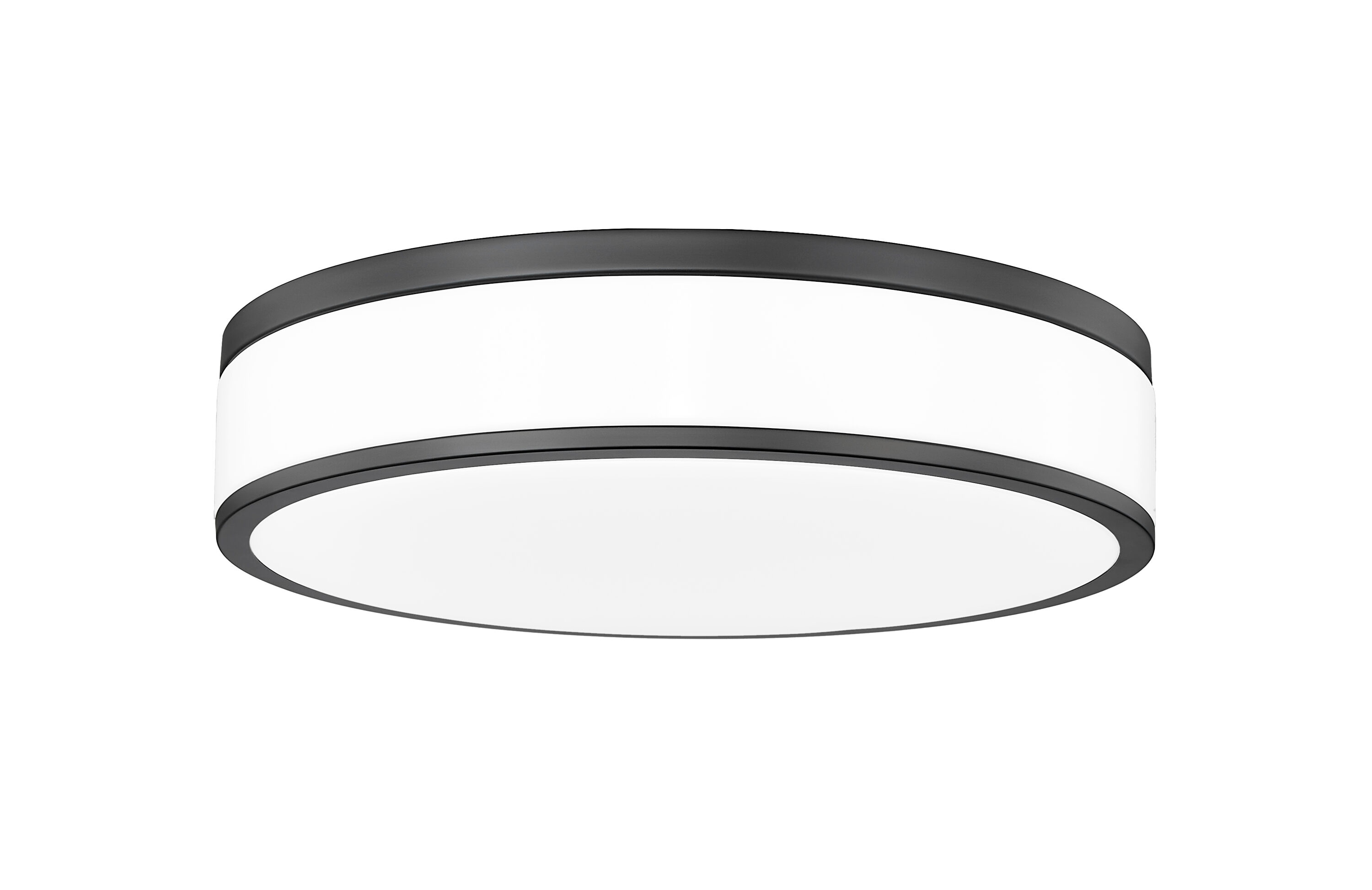 Z-Lite 1012F16-MB-LED flushmounts - View #7