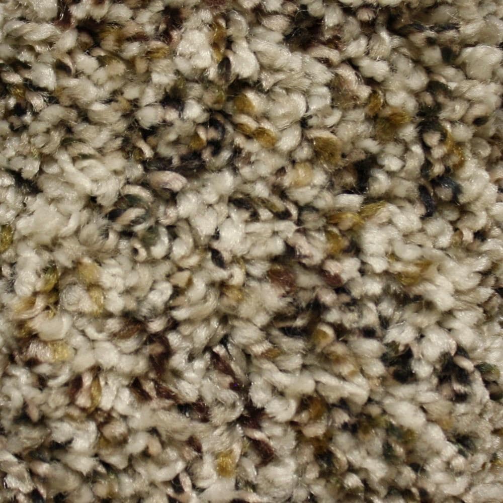 Stainmaster carpet online at lowes