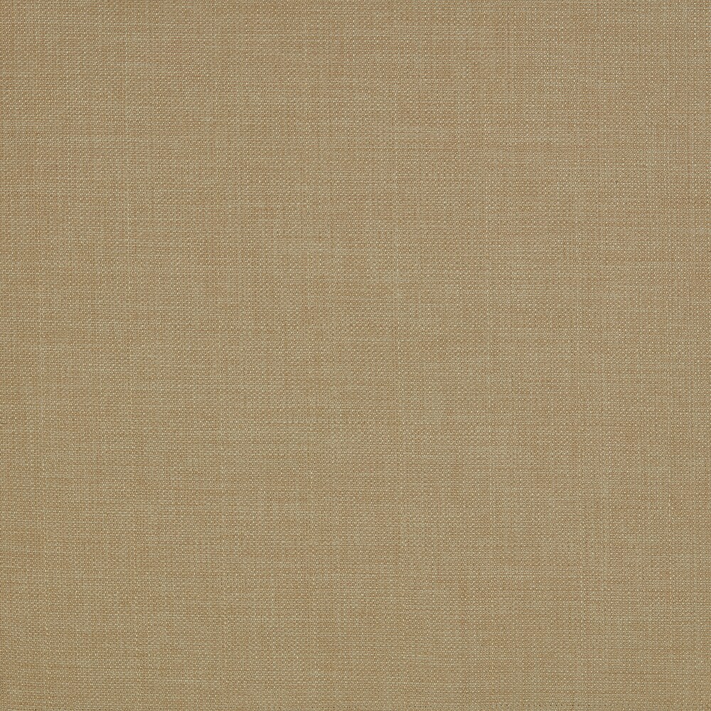 LEVOLOR Forre Taupe Room Darkening Polyester Roman Swatch in the Window ...