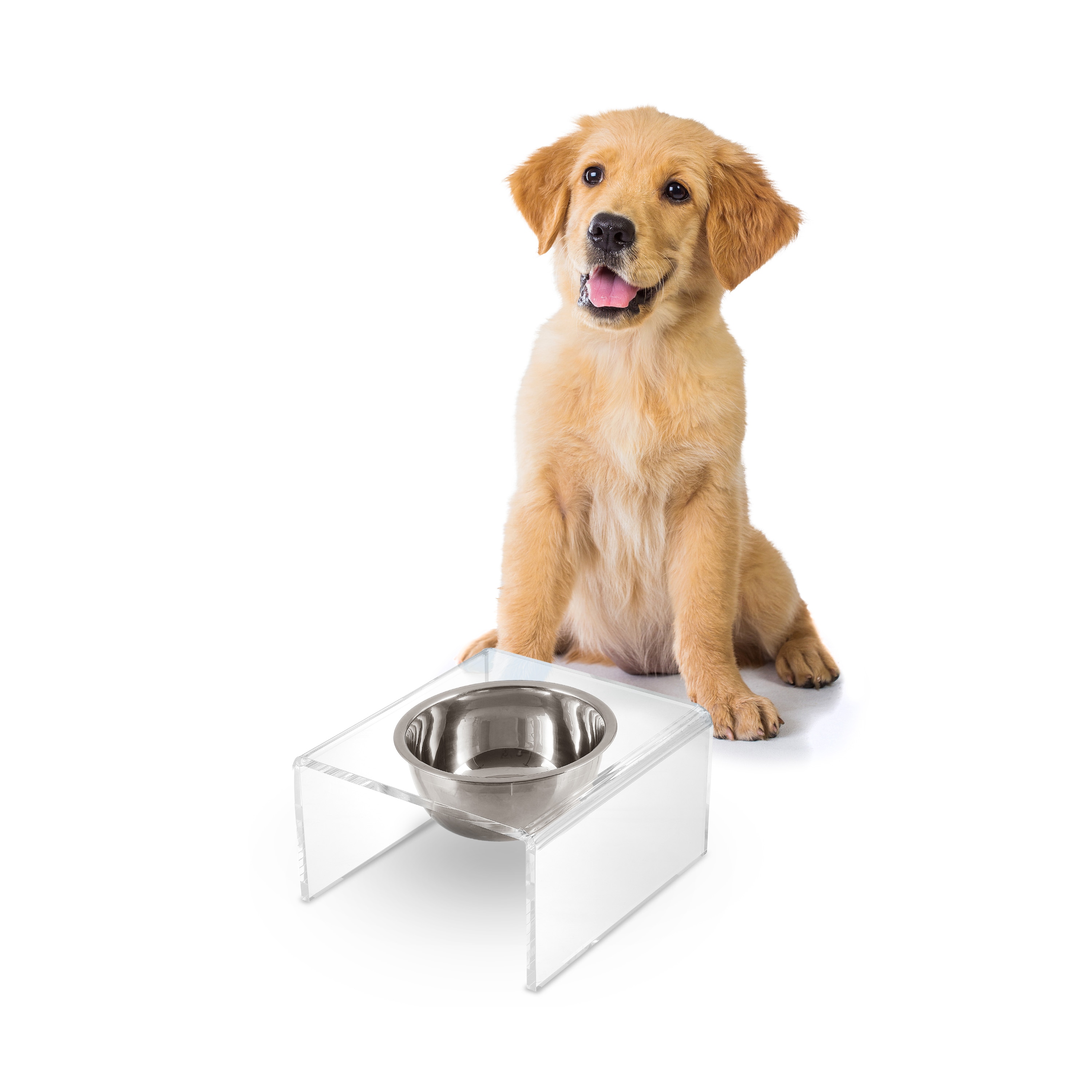 The Licker Store Keaton 5 in. Small/Medium Modern Acrylic Rectangular Elevated Pet Feeder with 20oz 1-Stainless Steel Bowl - Clear/Chrome