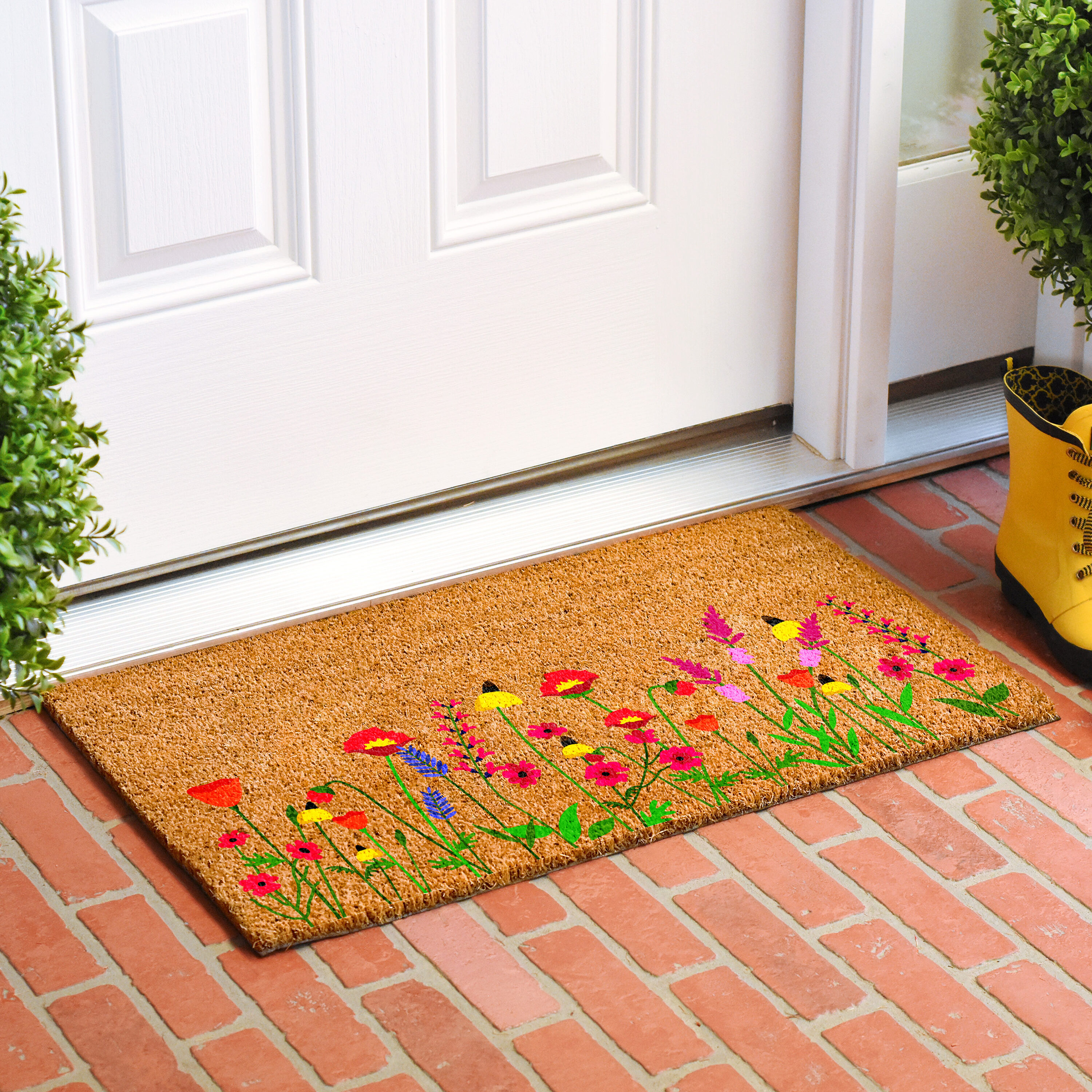 Callowaymills 109311729 Mats-Cat - View #2