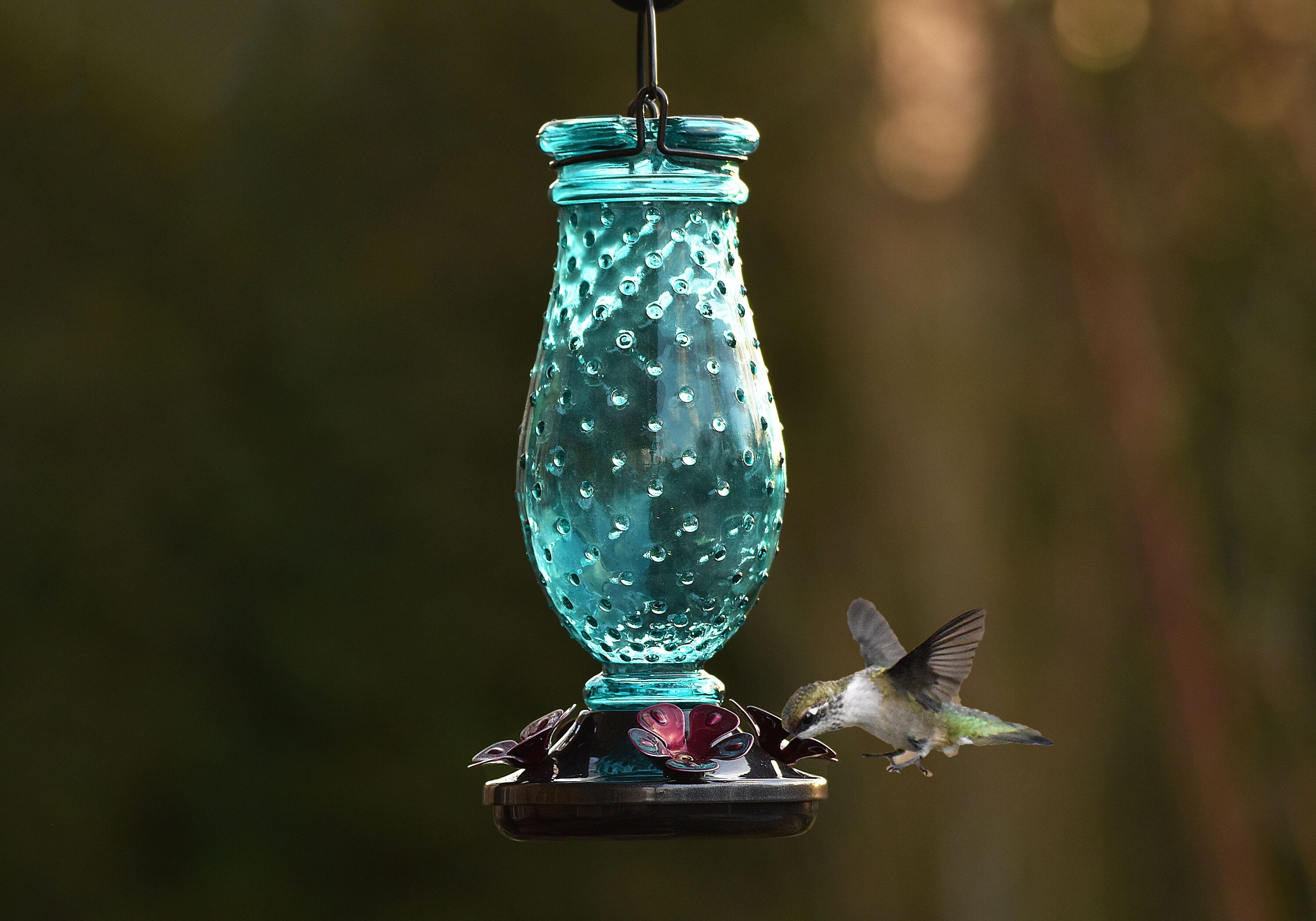 Style Selections Teal Glass Hanging Hummingbird Feeder- 16-oz