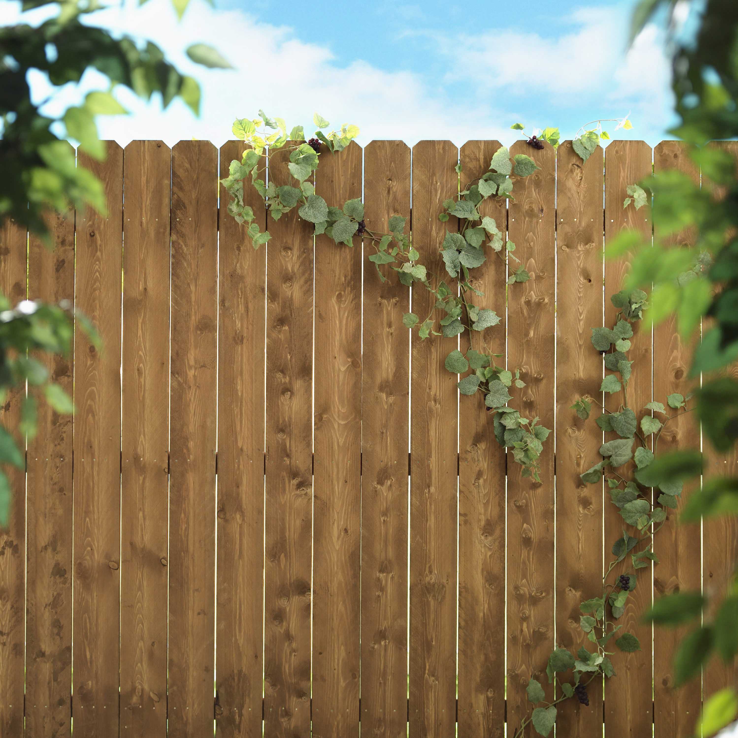  73000607 Wood-Fence-Panels - View #5
