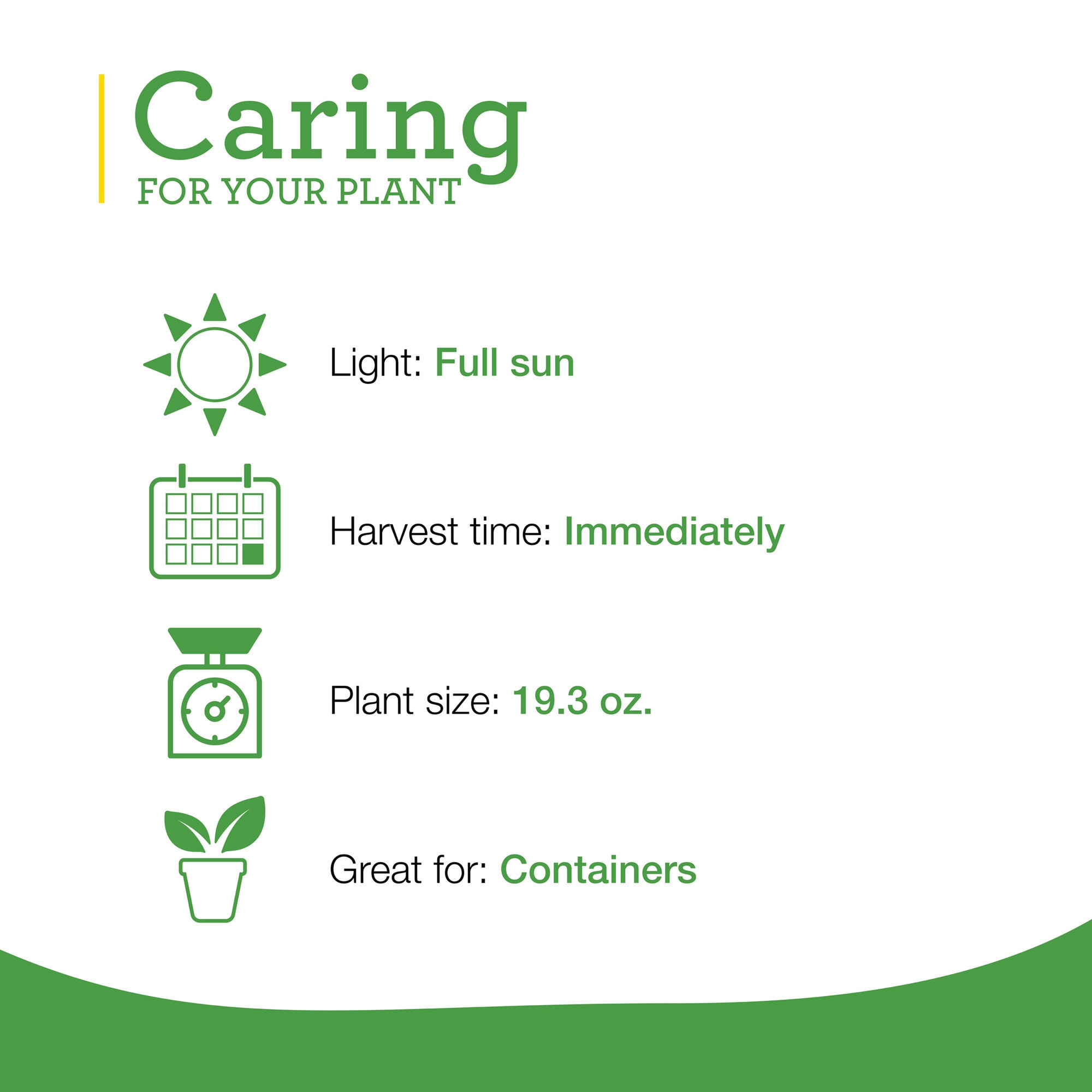 Bonnie Plants 202025 Herb-Plants - View #4