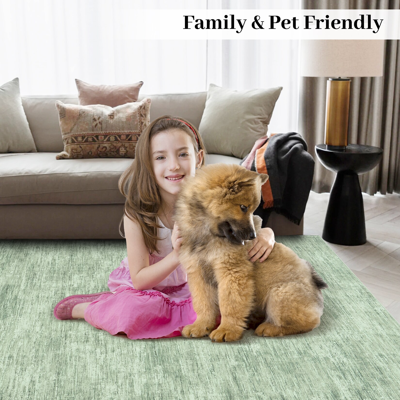 Assile ASRUG2681908313X5 rugs - View #7