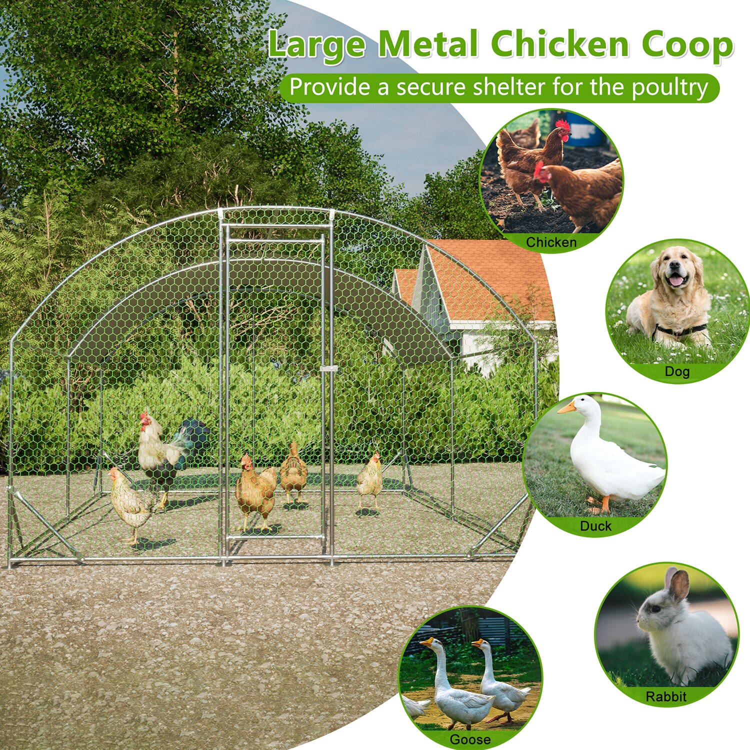 Mondawe MO-3P185305 Chicken-Coops-Rabbit-Hutches - View #6