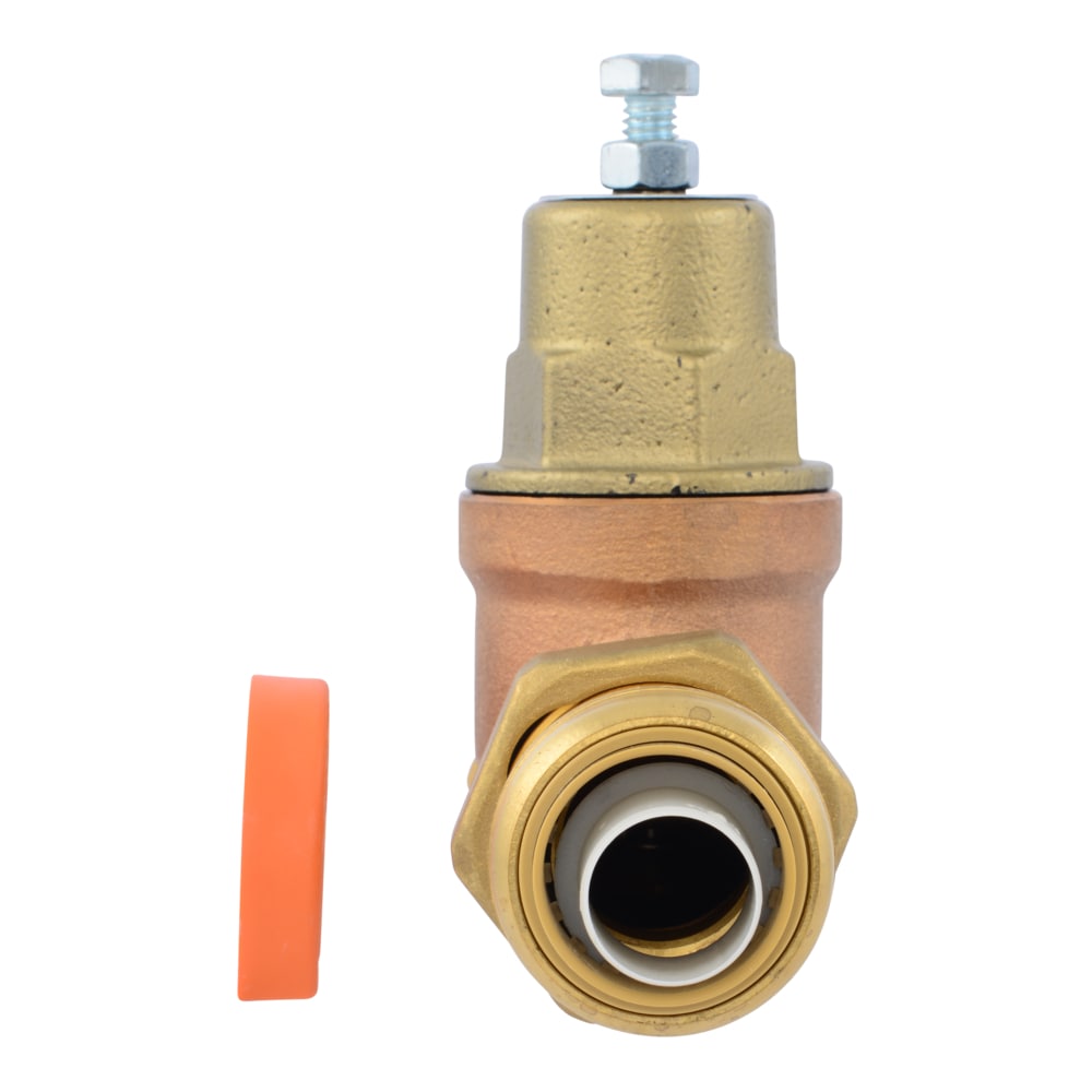 Cash Acme PVA20M-DUSB-60 Pressure-Relief-Valves-Regulators - View #2