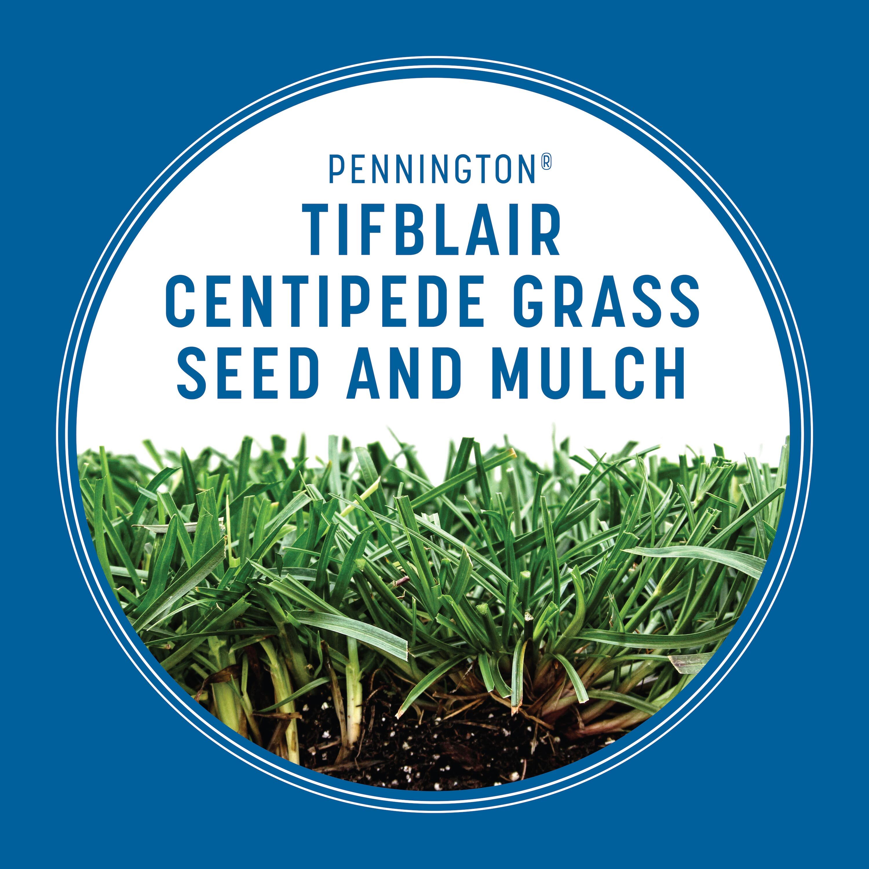 Pennington 2149627553 Grass-Seed - View #4