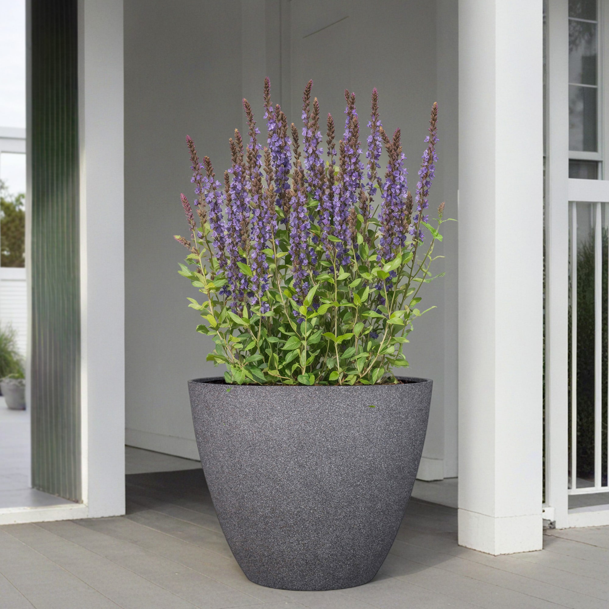 allen + roth PLC2112TCC Planter-Window-Box - View #8