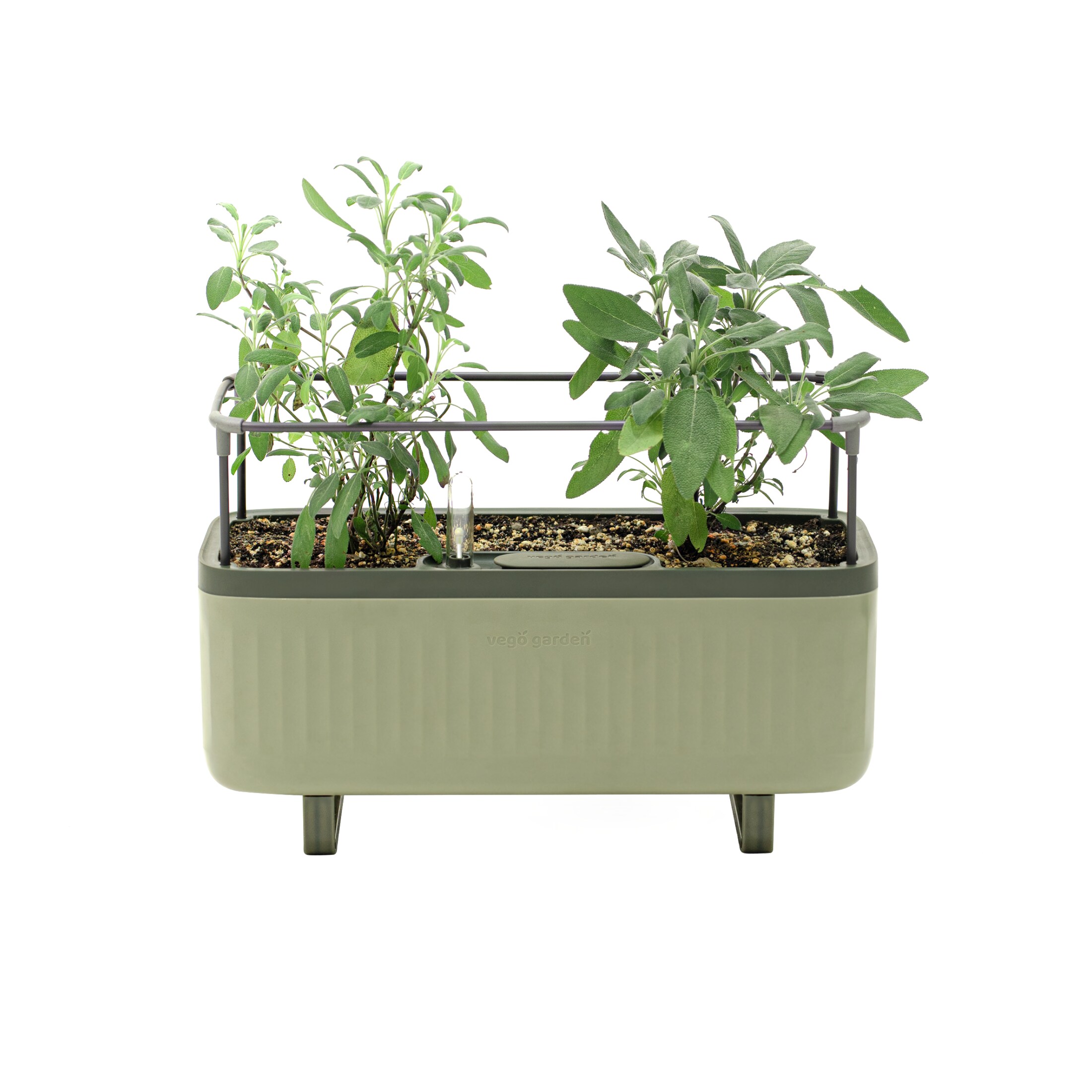 Vego Garden VPHPGN Rectangle 7.3-in W Medium Green Recycled plastic Contemporary/Modern Indoor/Outdoor Planter with Drainage Holes with Self Watering